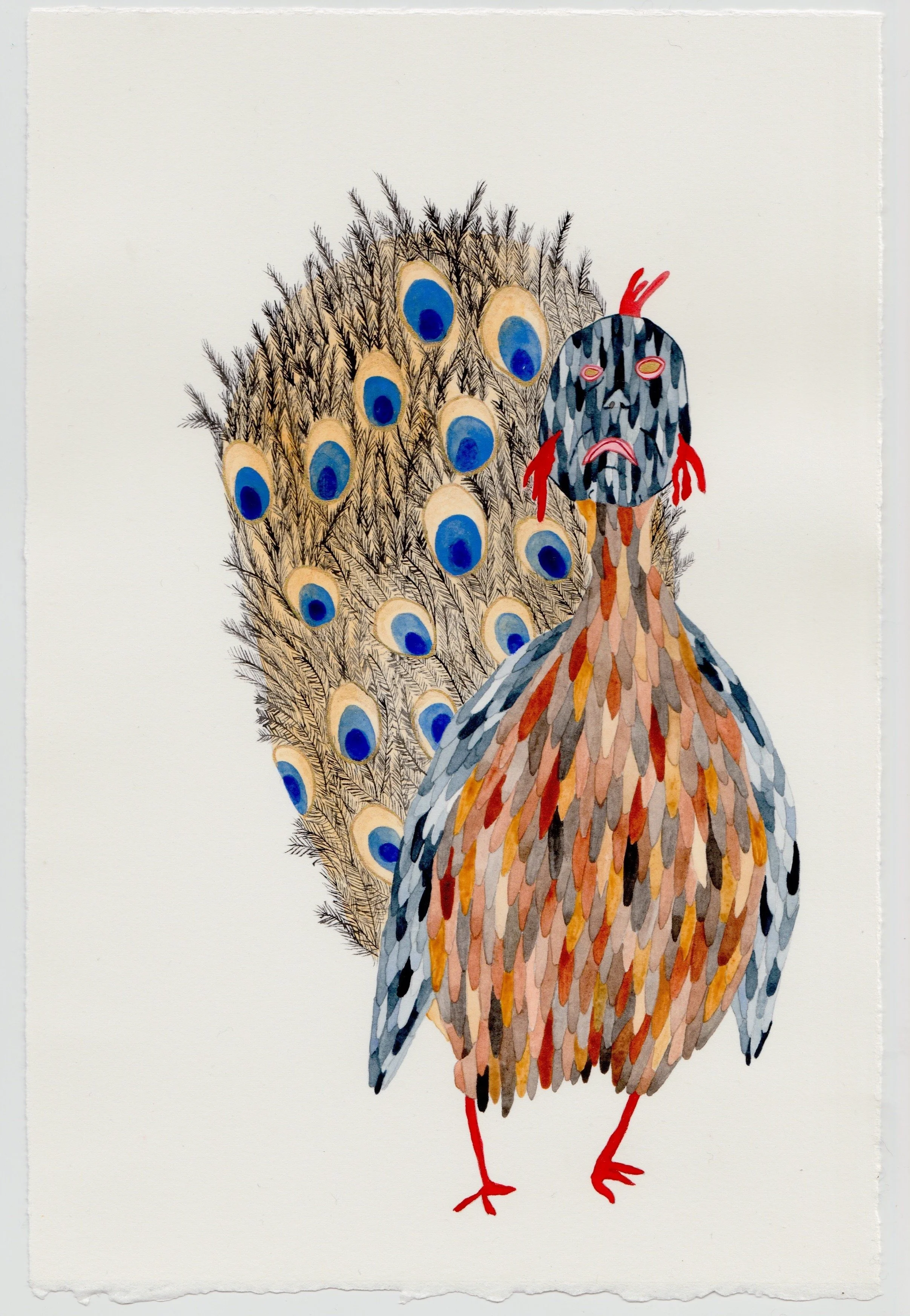  PIP RYAN  Peter the Peacock , 2022 watercolour, gouache, pencil on paper, framed 29 x 19 cm (paper size) 