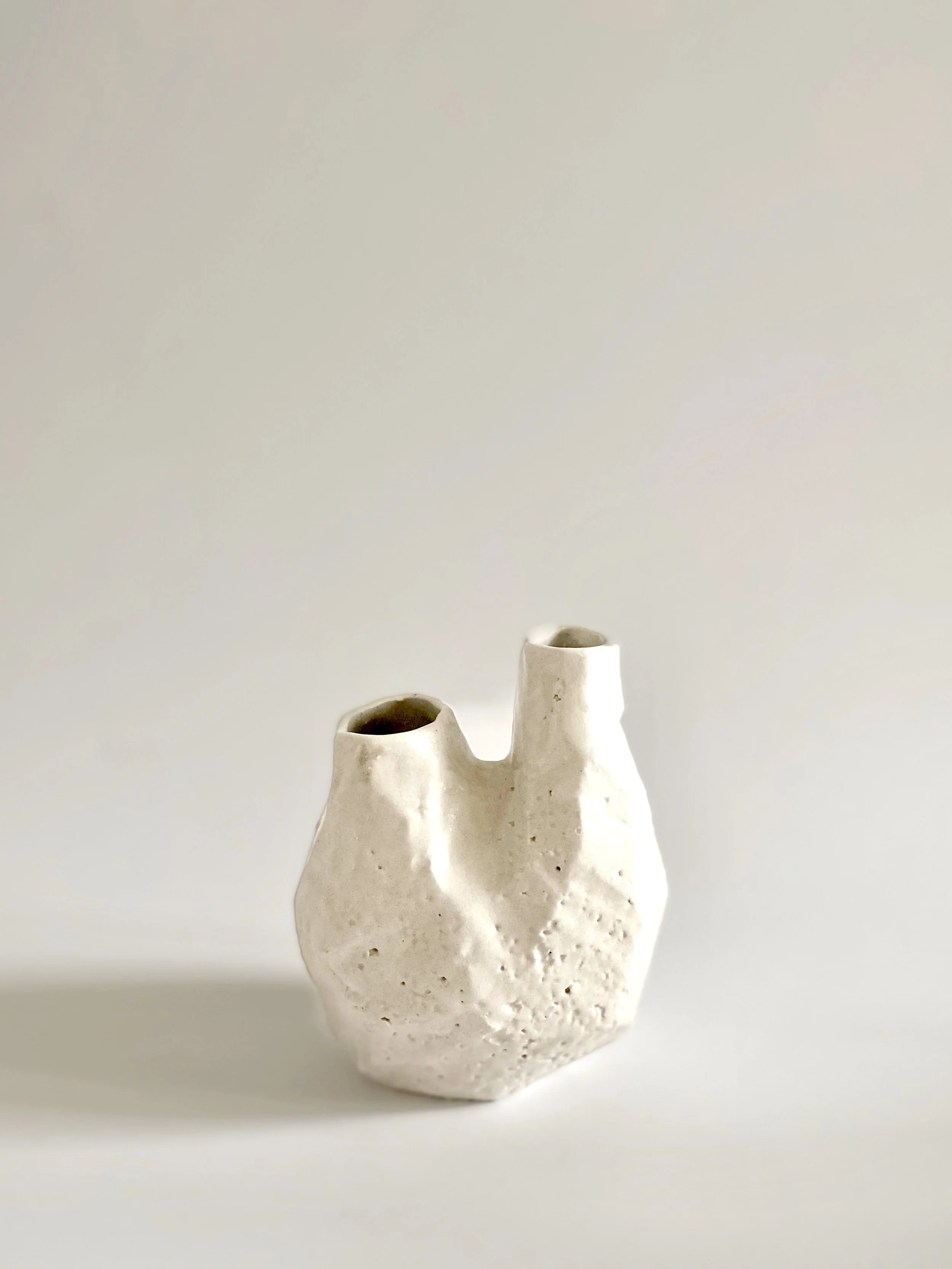 Left and right ventricle vase