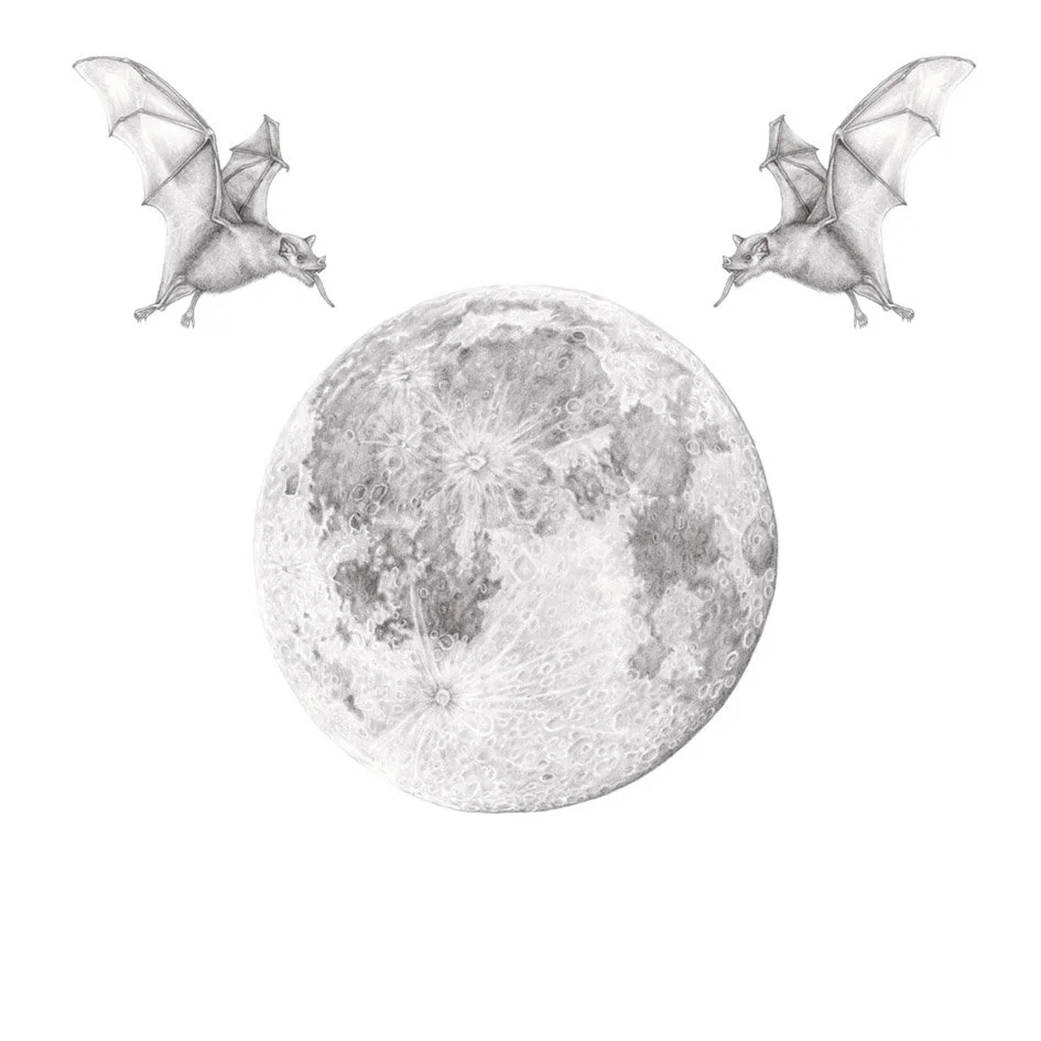 natalie-ryan-full-moon.jpg