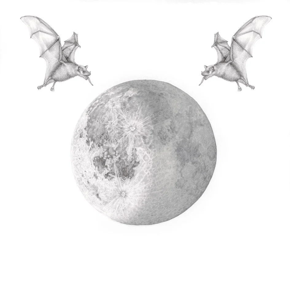 natalie-ryan-last-quater-moon.jpg