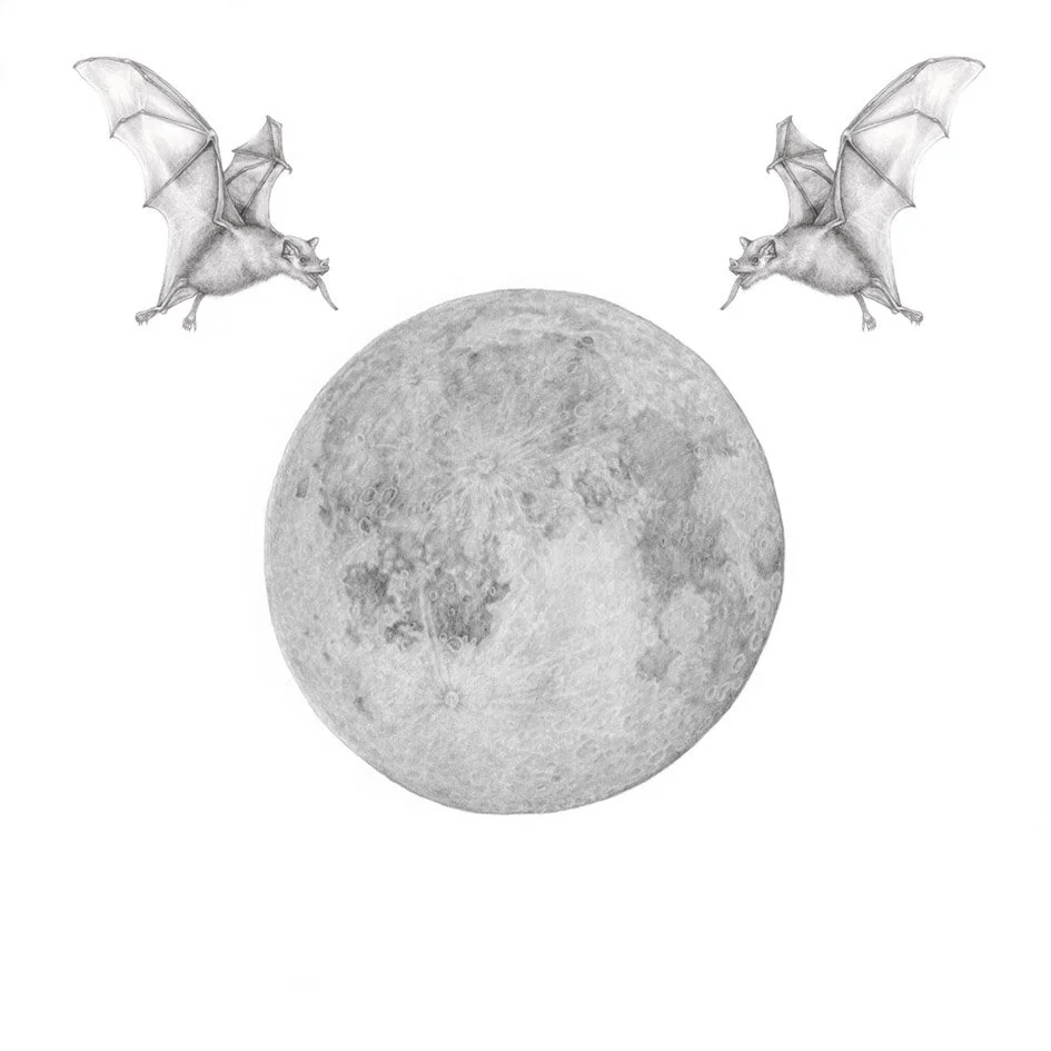natalie-ryan-new-moon.jpg