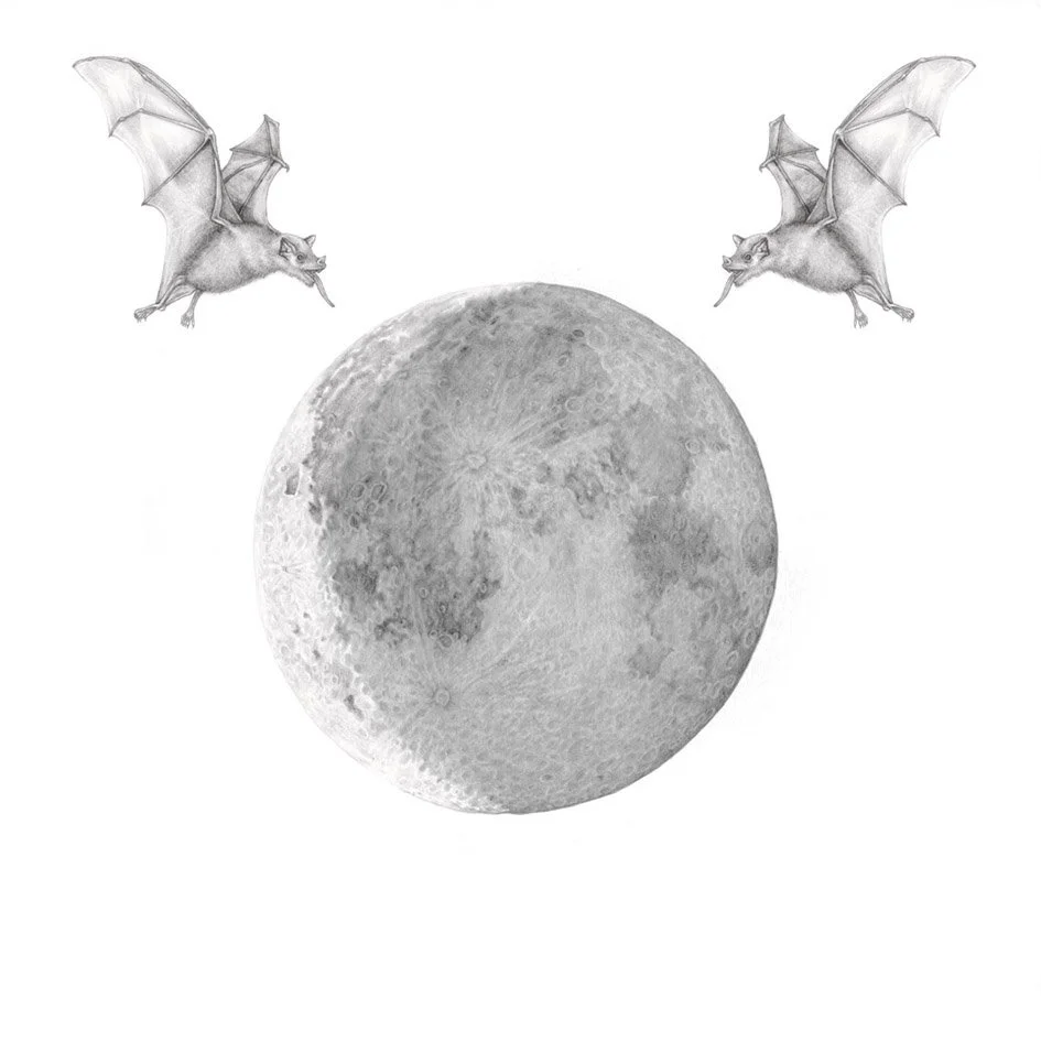 natalie-ryan-waning-crescent-moon.jpg