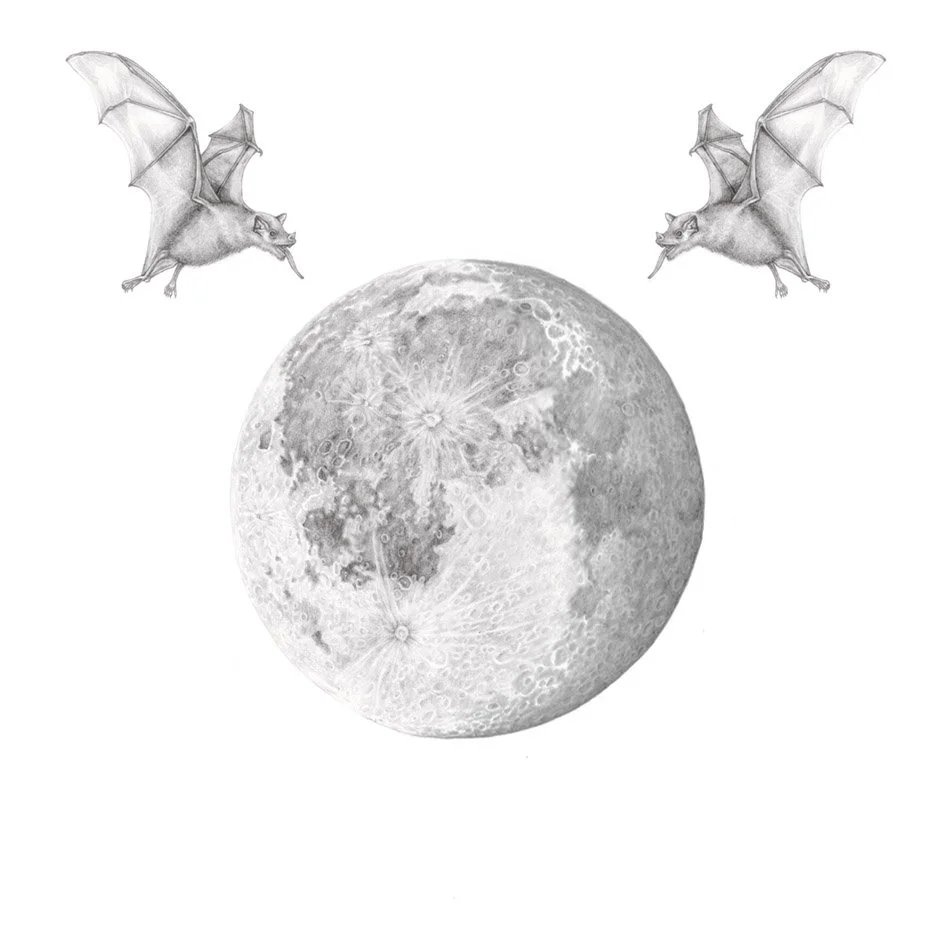 natalie-ryan-waning-gibbous-moon.jpg