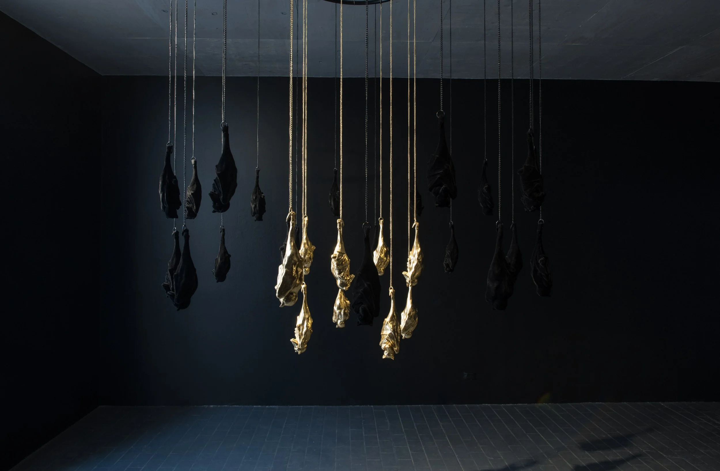 19-09-natalie-ryan-jeremy-blincoe-nocturne-installation-3.jpg