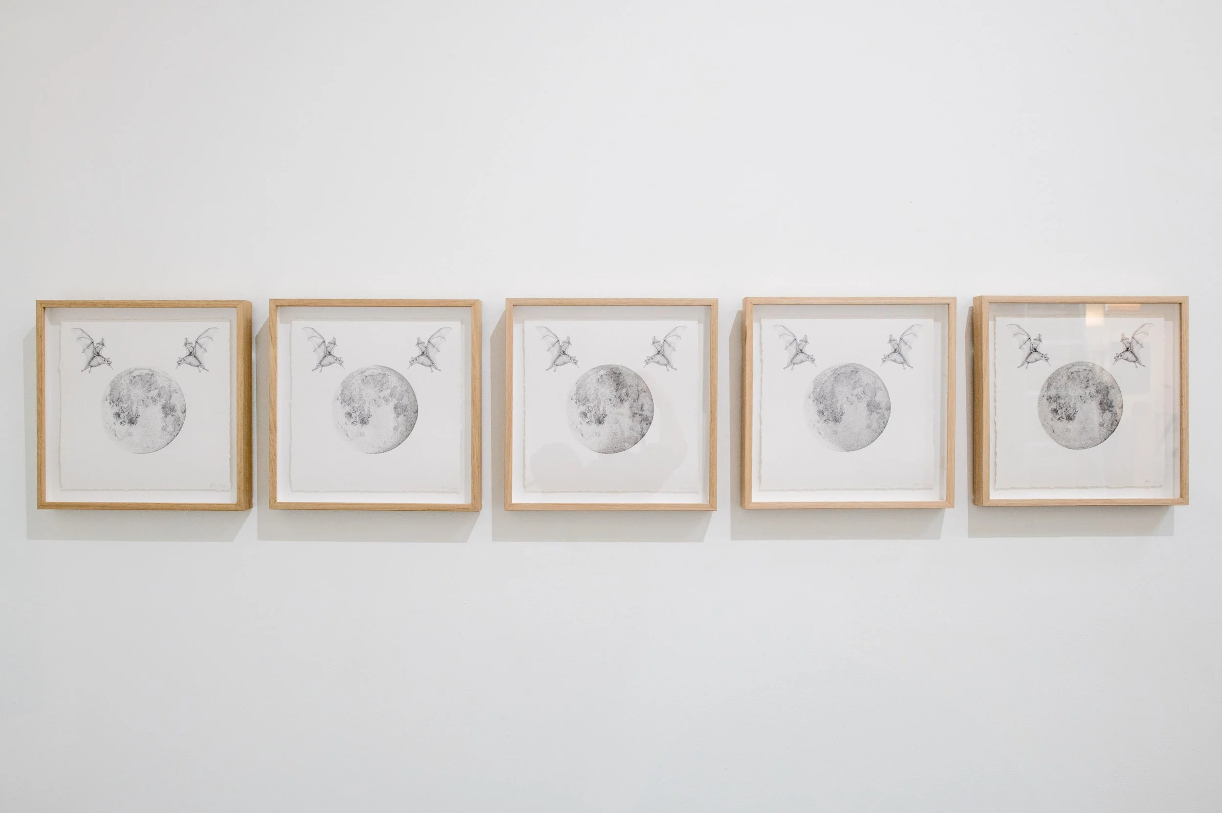 natalie-ryan-moon-series.jpg