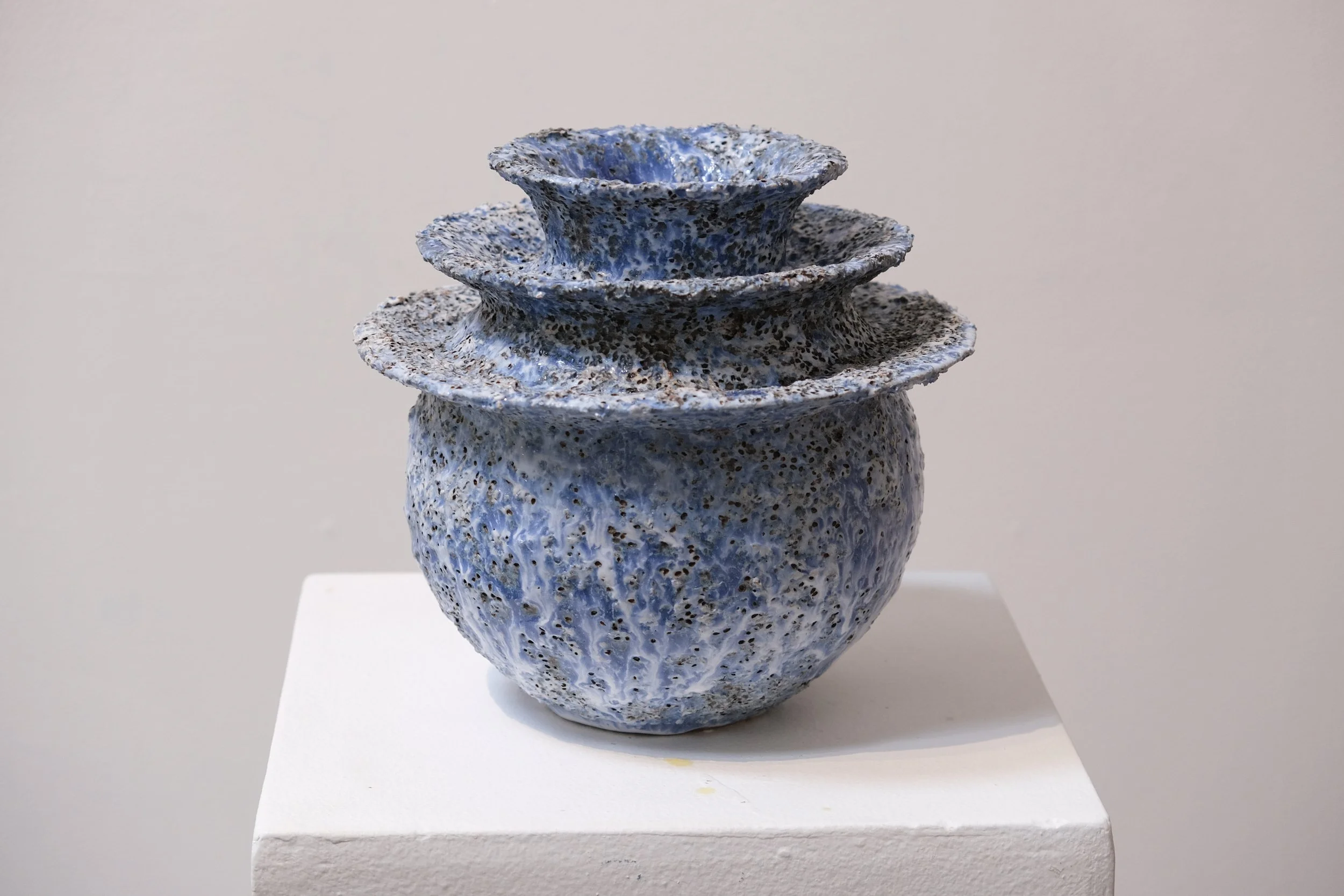 georgina-proud-flux-intall-11.JPG