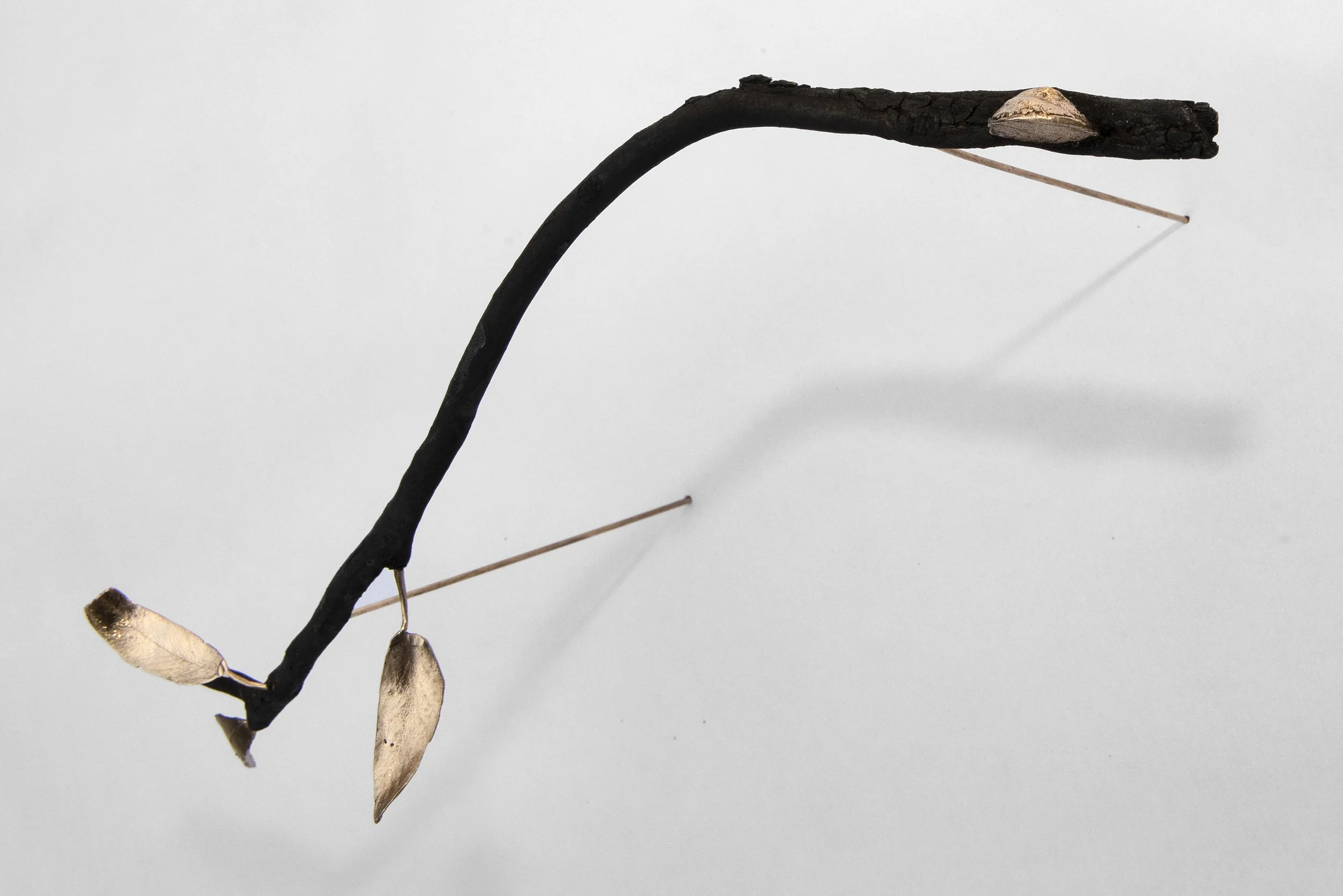 rebecca-selleck-falling-branches-37-2.jpg