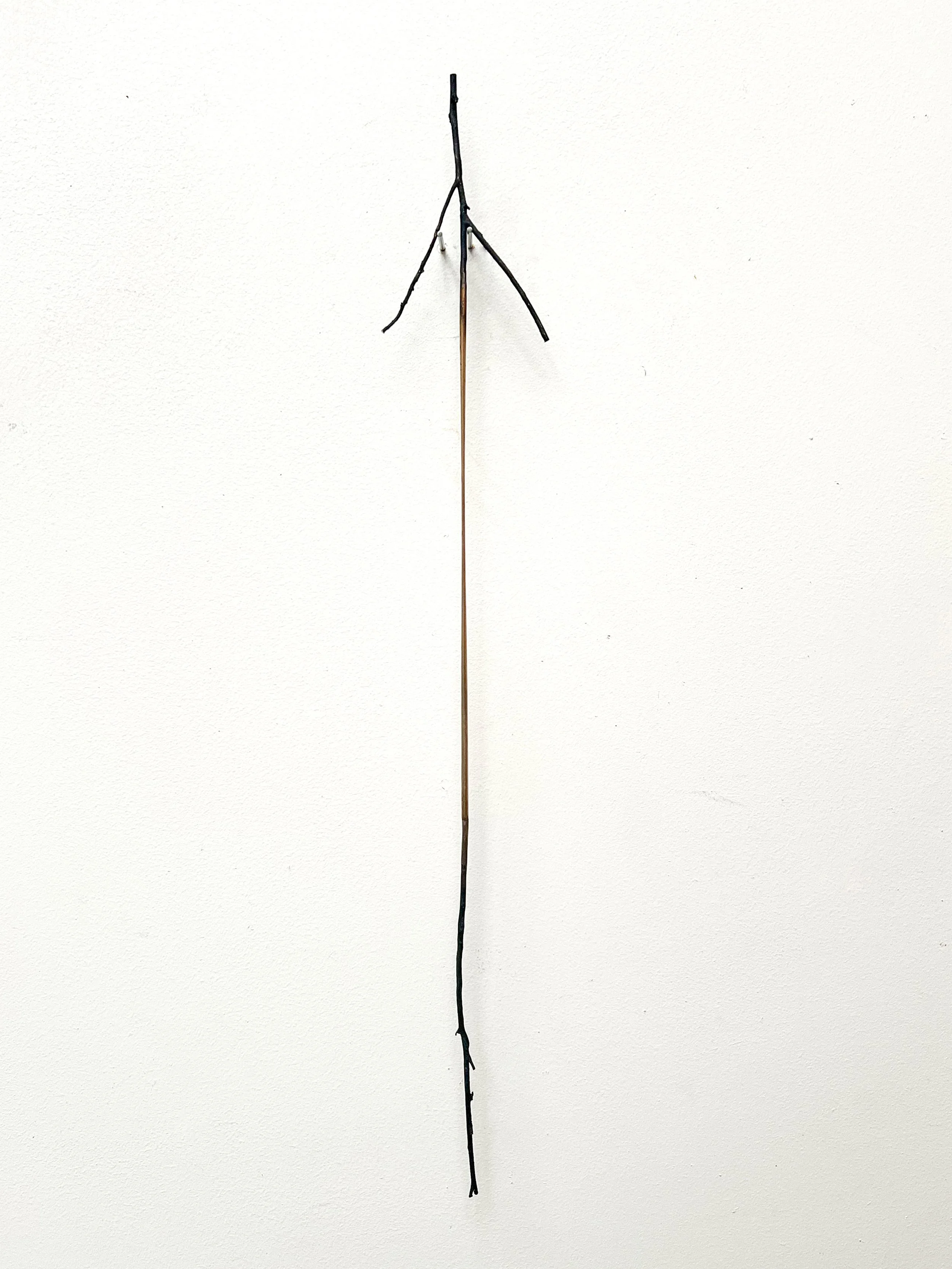 jason-waterhouse-taut-branch-1.jpg