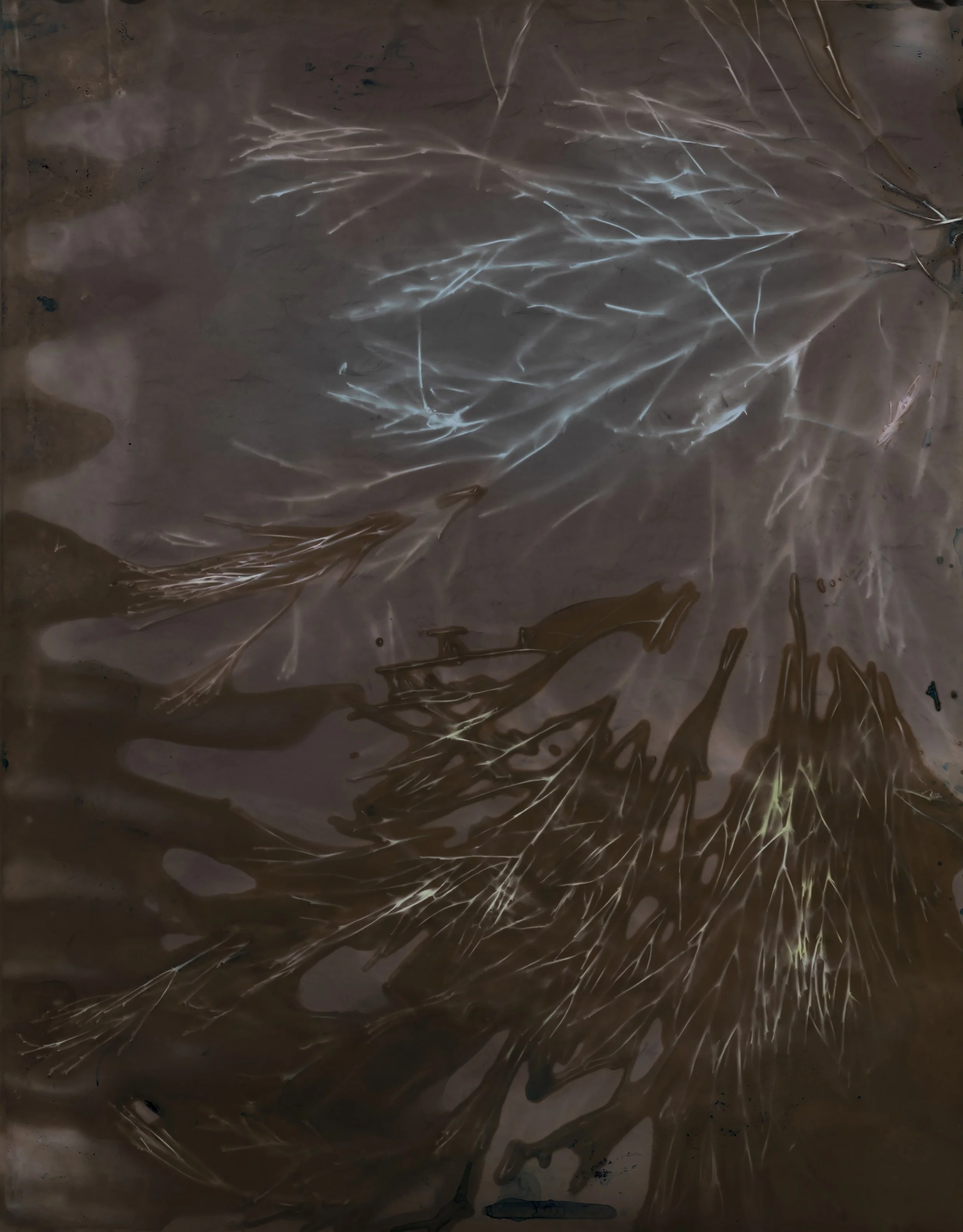 Millowick, Julie_Cherry Ballart, 2022.jpg