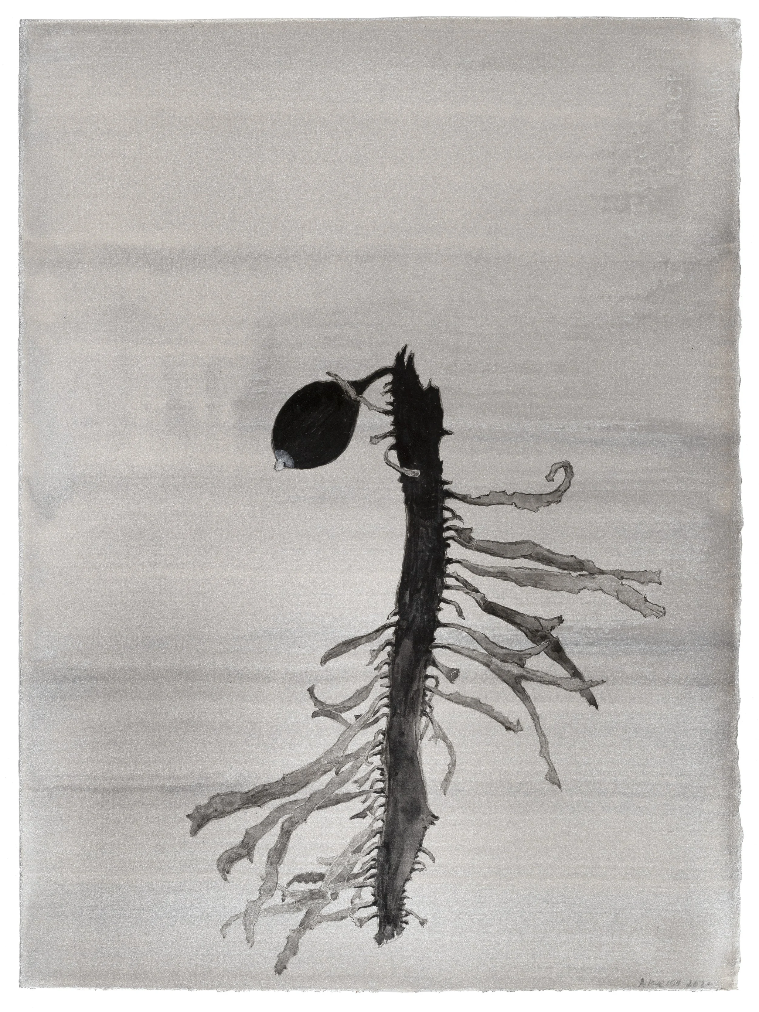  ROSIE WEISS  What lies beneath III , 2025 ink on paper, framed 38 x 28.5 cm 