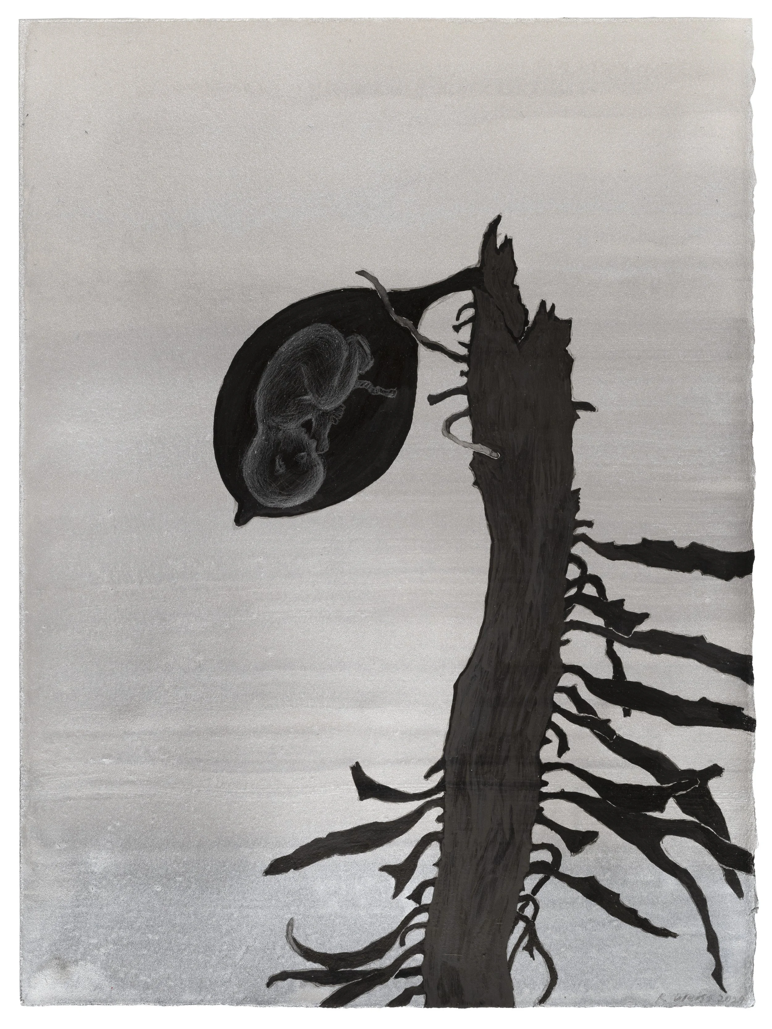  ROSIE WEISS  What lies beneath IV , 2025 pencil and ink on paper, framed 38 x 28.5 cm 