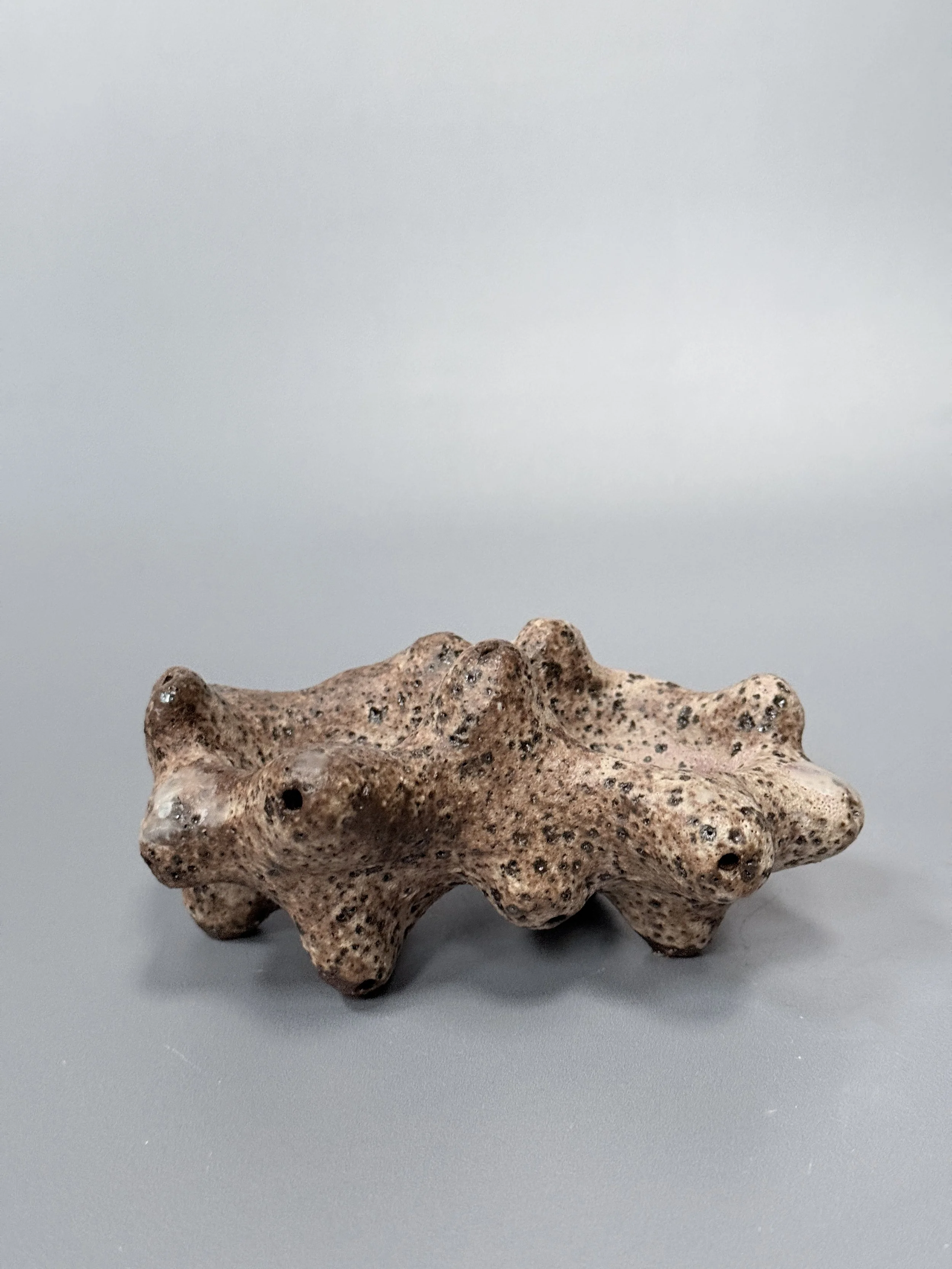 lotte-schwerdtfeger-coral-cindiment-dish-2.JPG