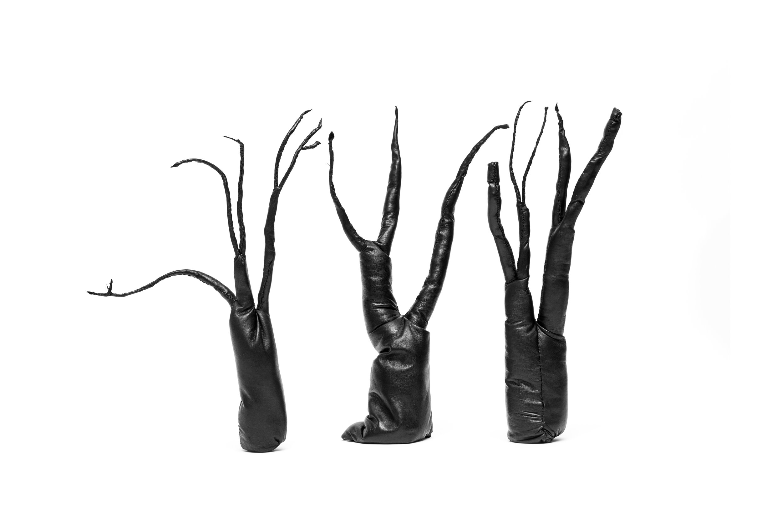 talitha-kennedy-shadows-grown-reach-slump-probe.jpg