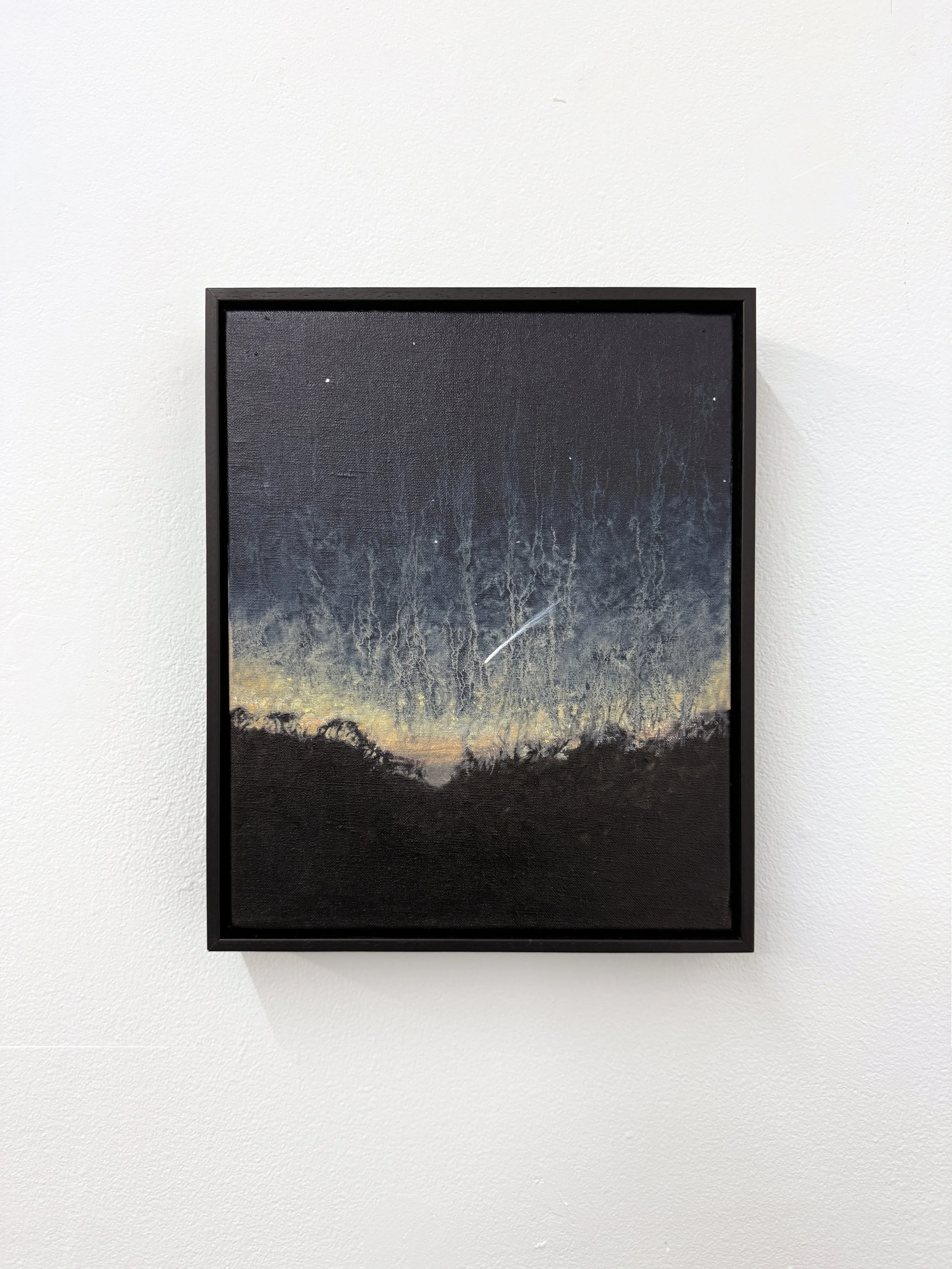 brodie-ellis-comet-G3-atlas-small-2.jpeg