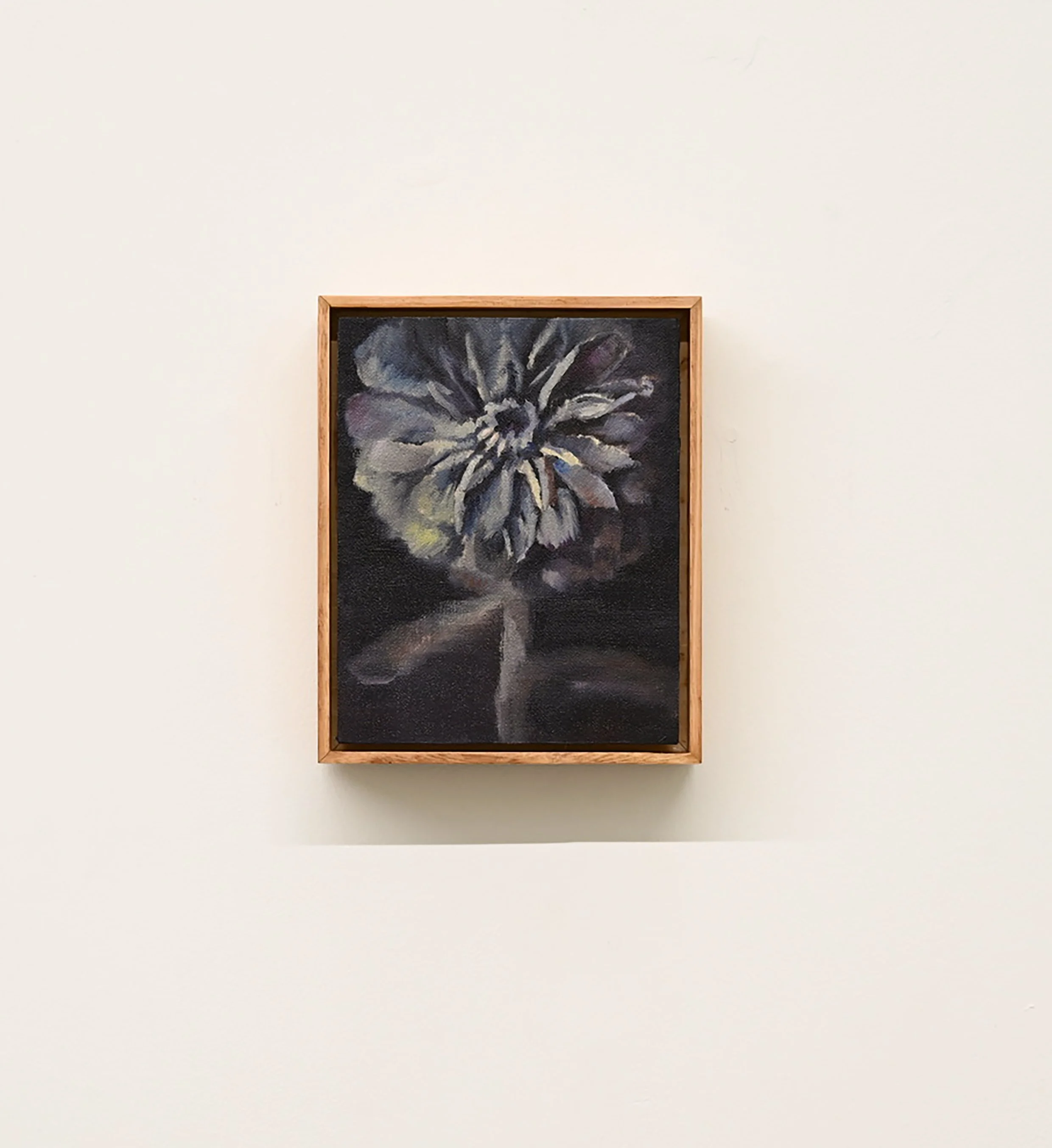 alex-dillon-dahlia-1.JPG