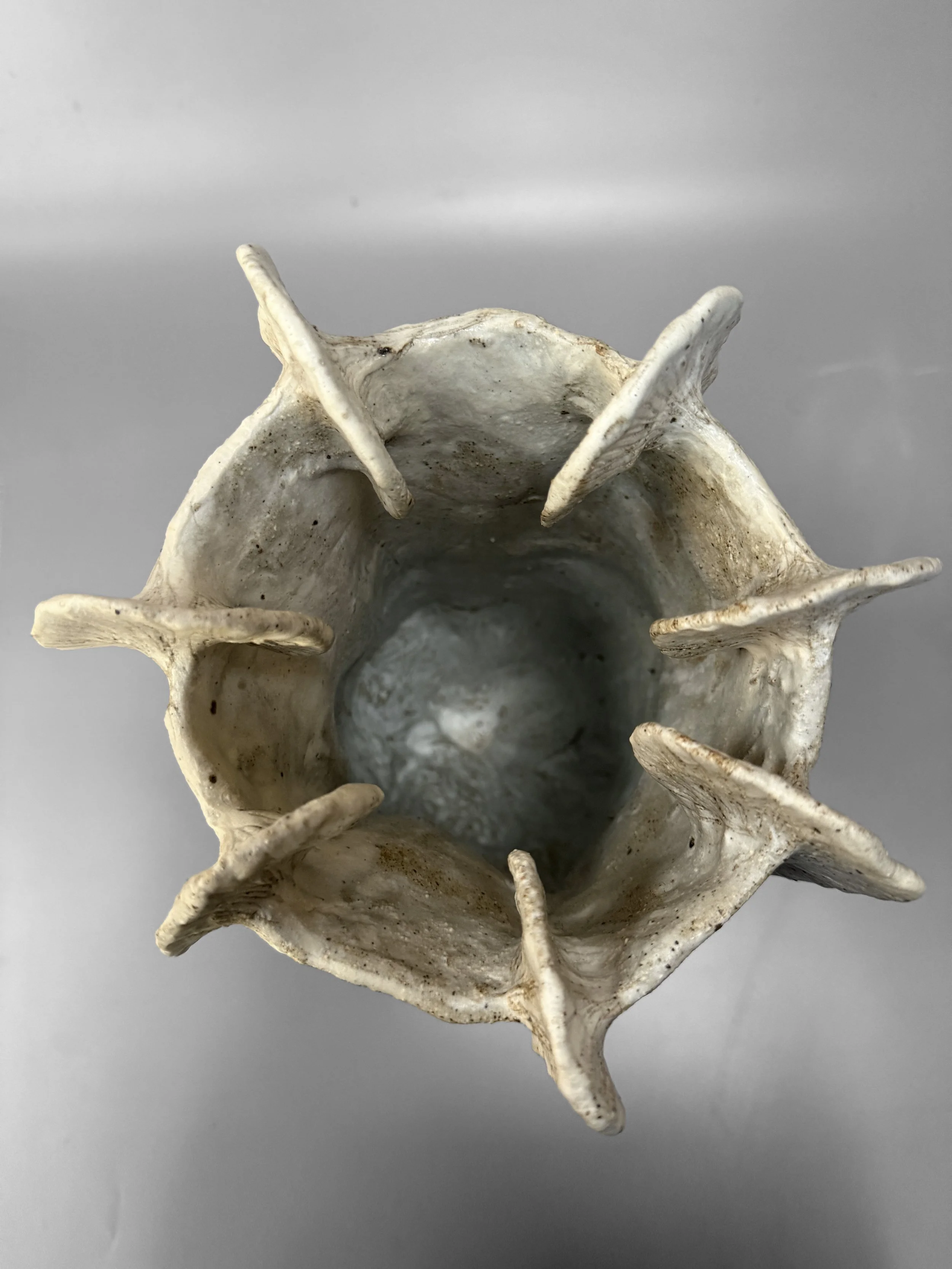lotte-schwerdtfeger-frond-vase-5.JPG