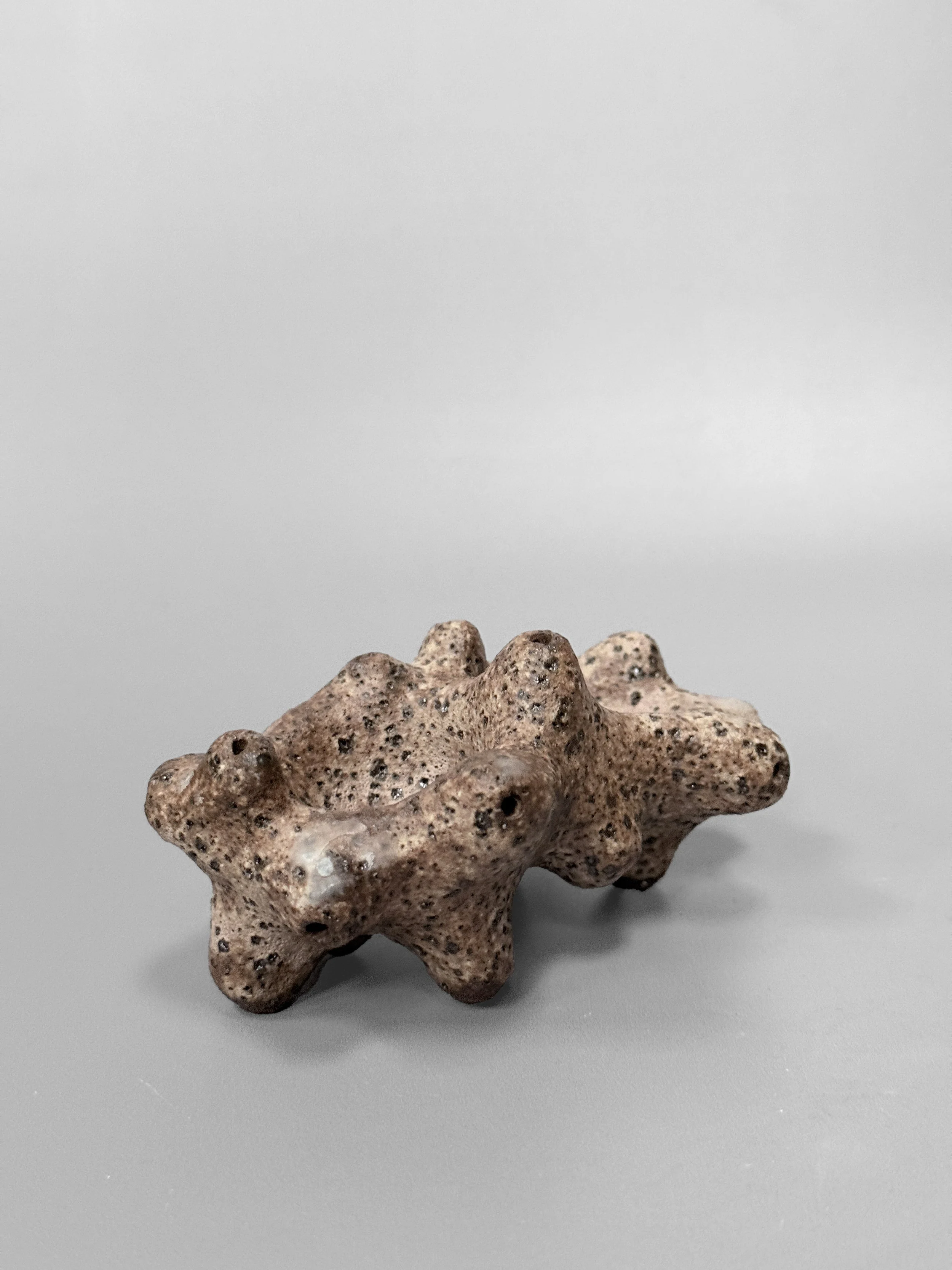 lotte-schwerdtfeger-coral-cindiment-dish-1.JPG