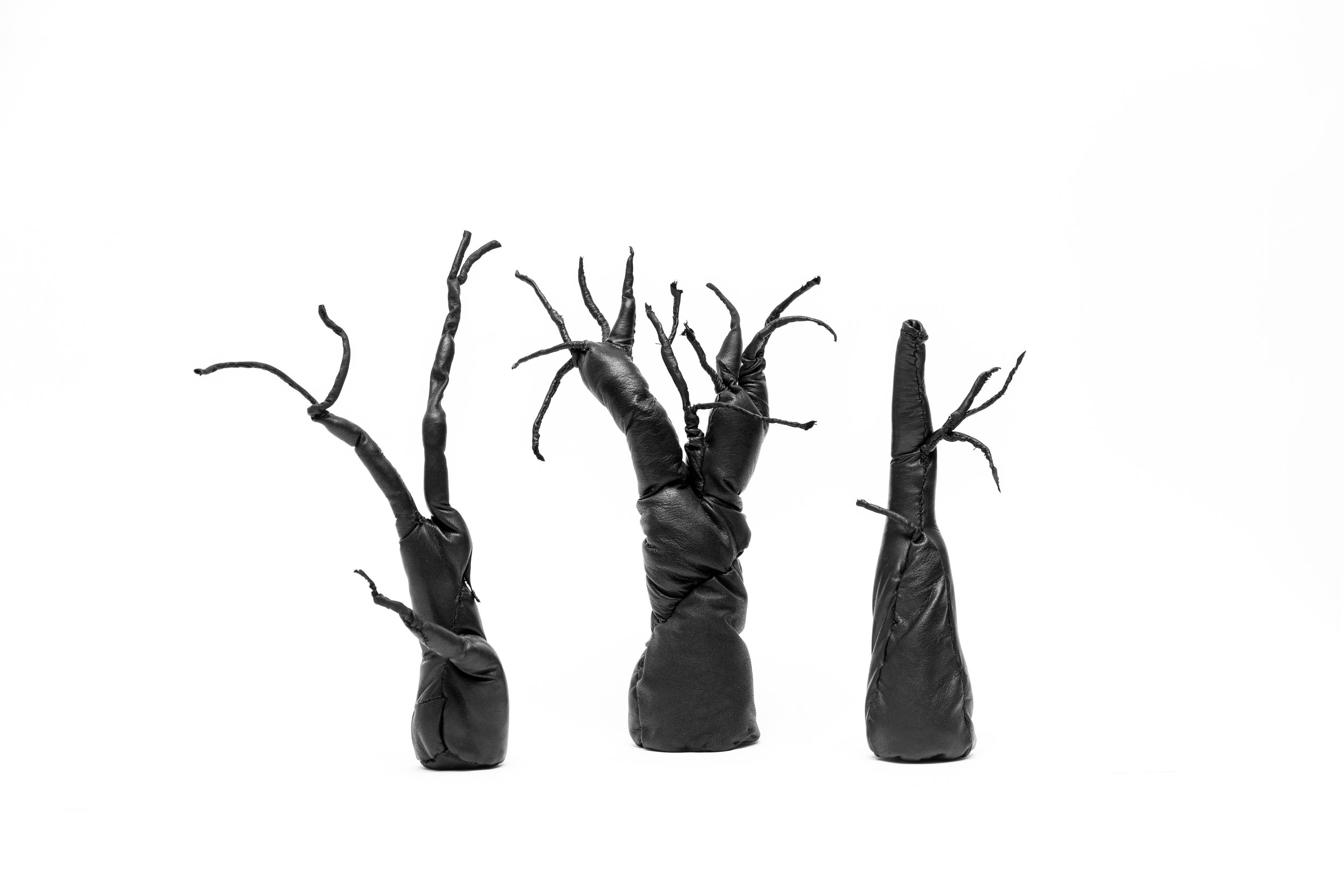talitha-kennedy-shadows-grown-nudge-brush-poke.jpg