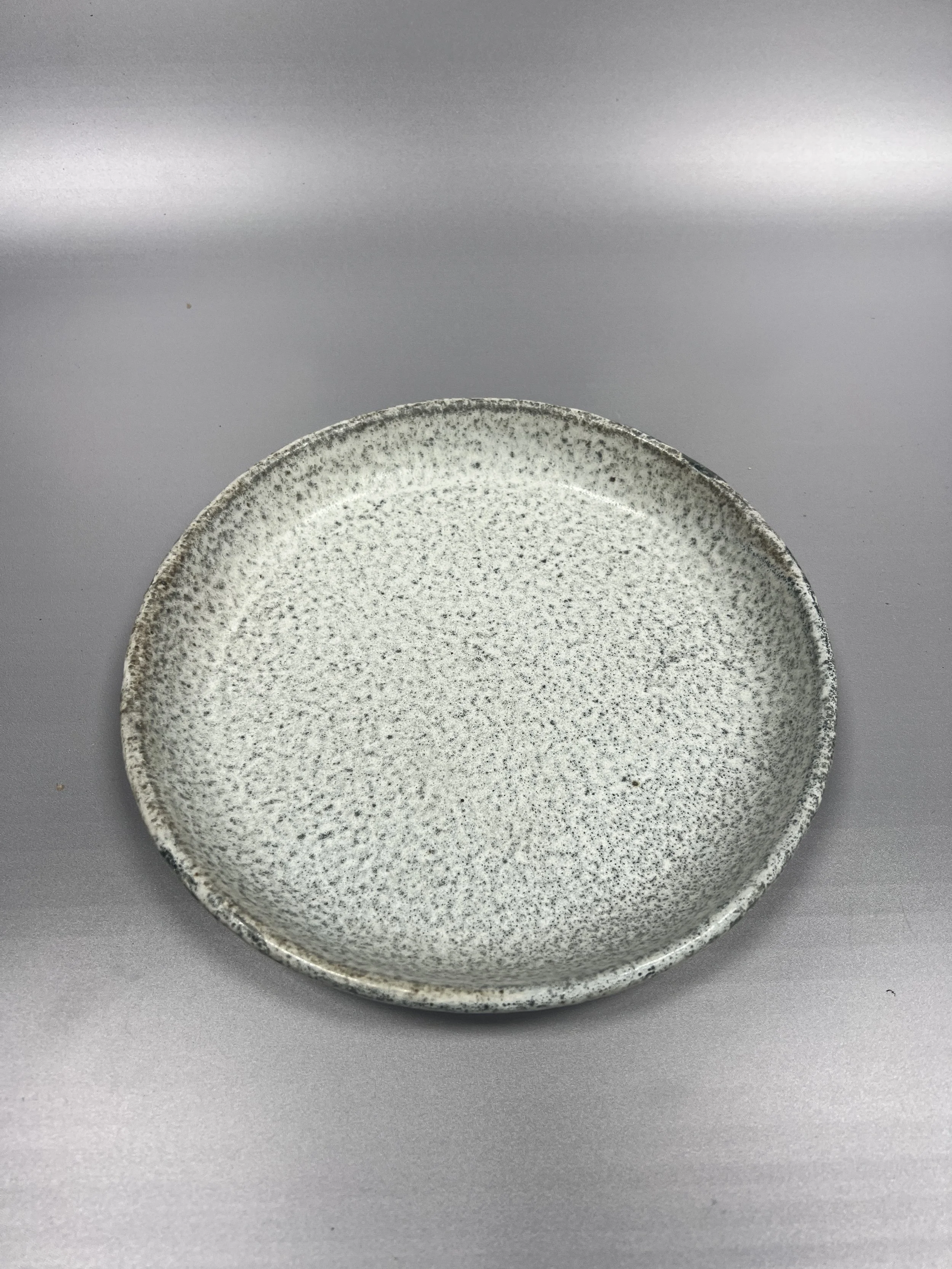 sharon-alpren-ash-highsided-plate-2-1.JPG