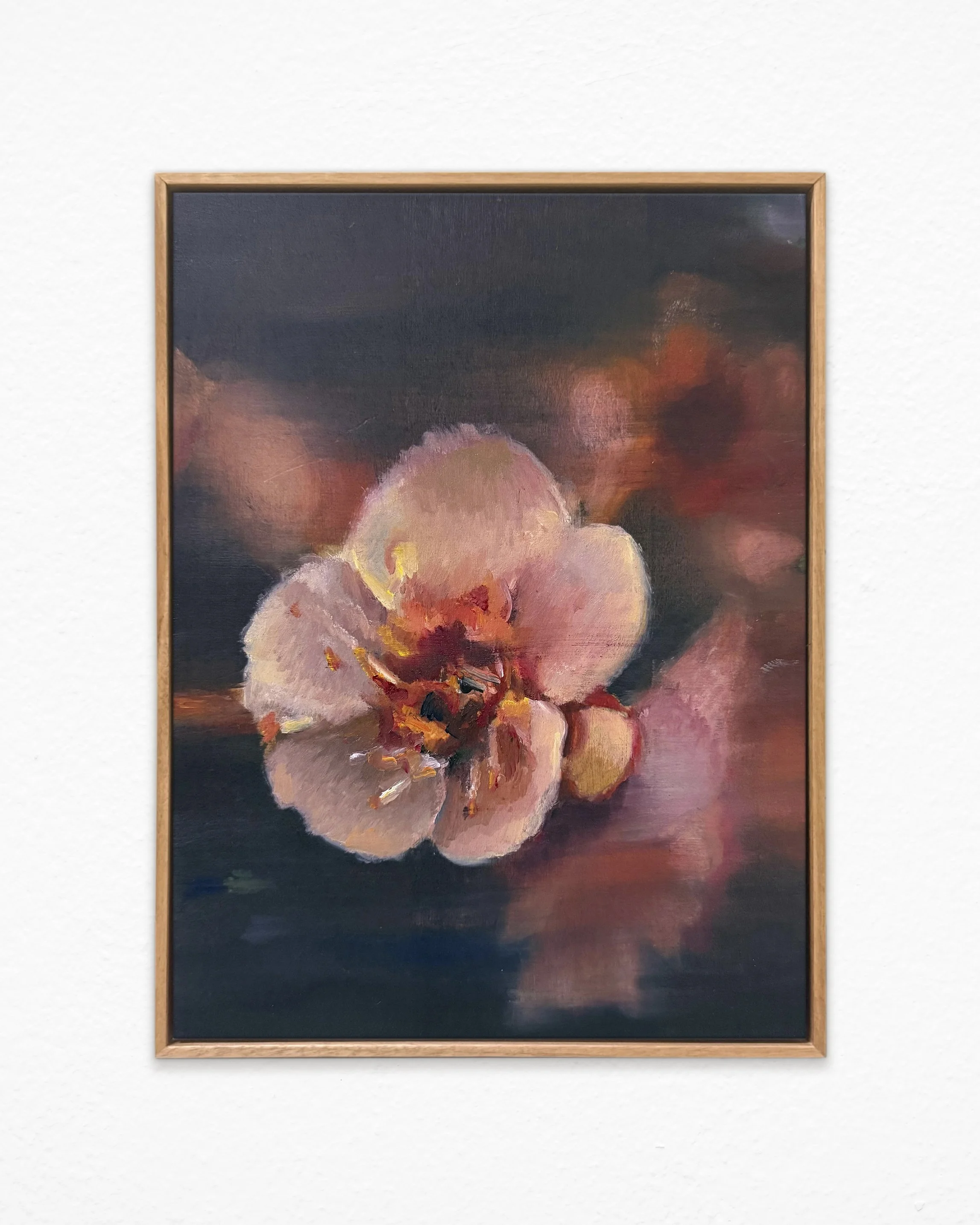 AlexDillon_Blossom_2026.jpg