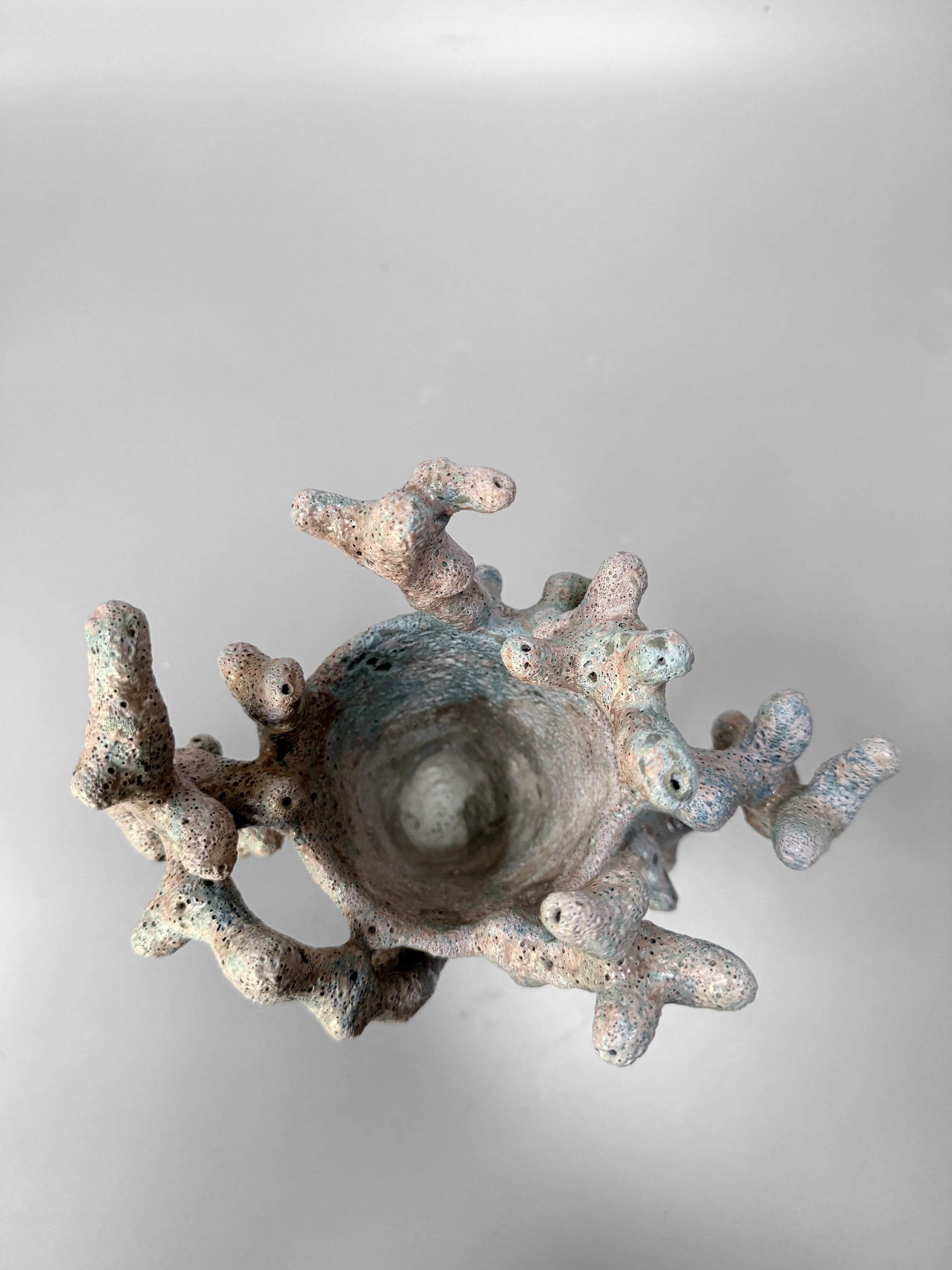 lotte-schwerdtfeger-coral-trophy-vase-4.JPG