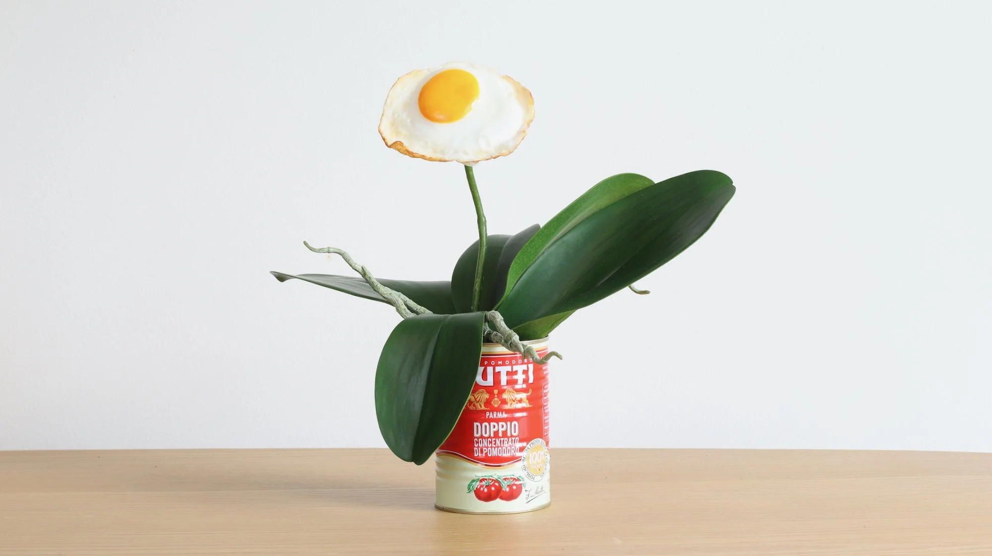 laetitia-olivier-gargano-egg-orchid-10-1.jpeg