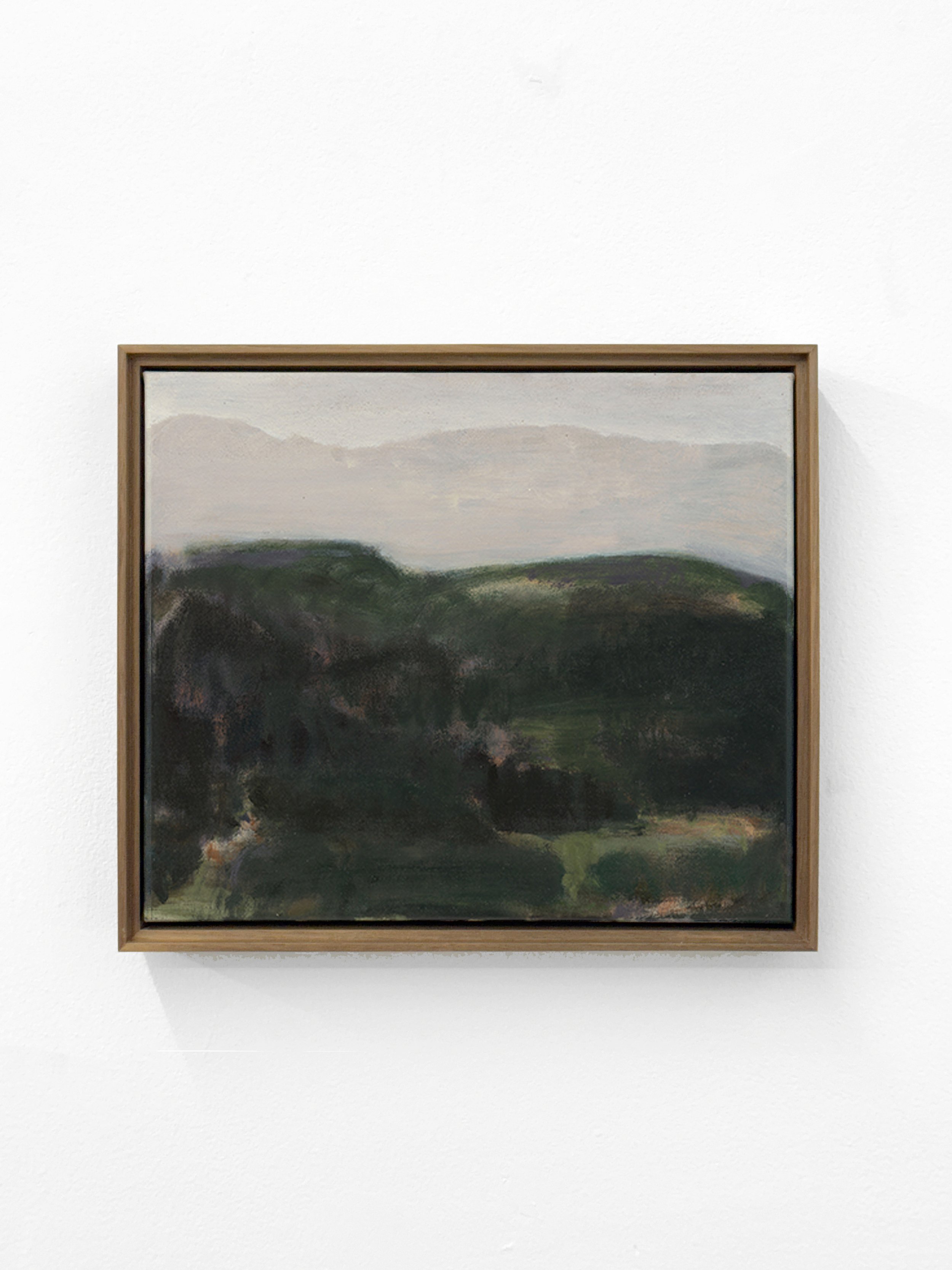 V12 Luminous Remnants