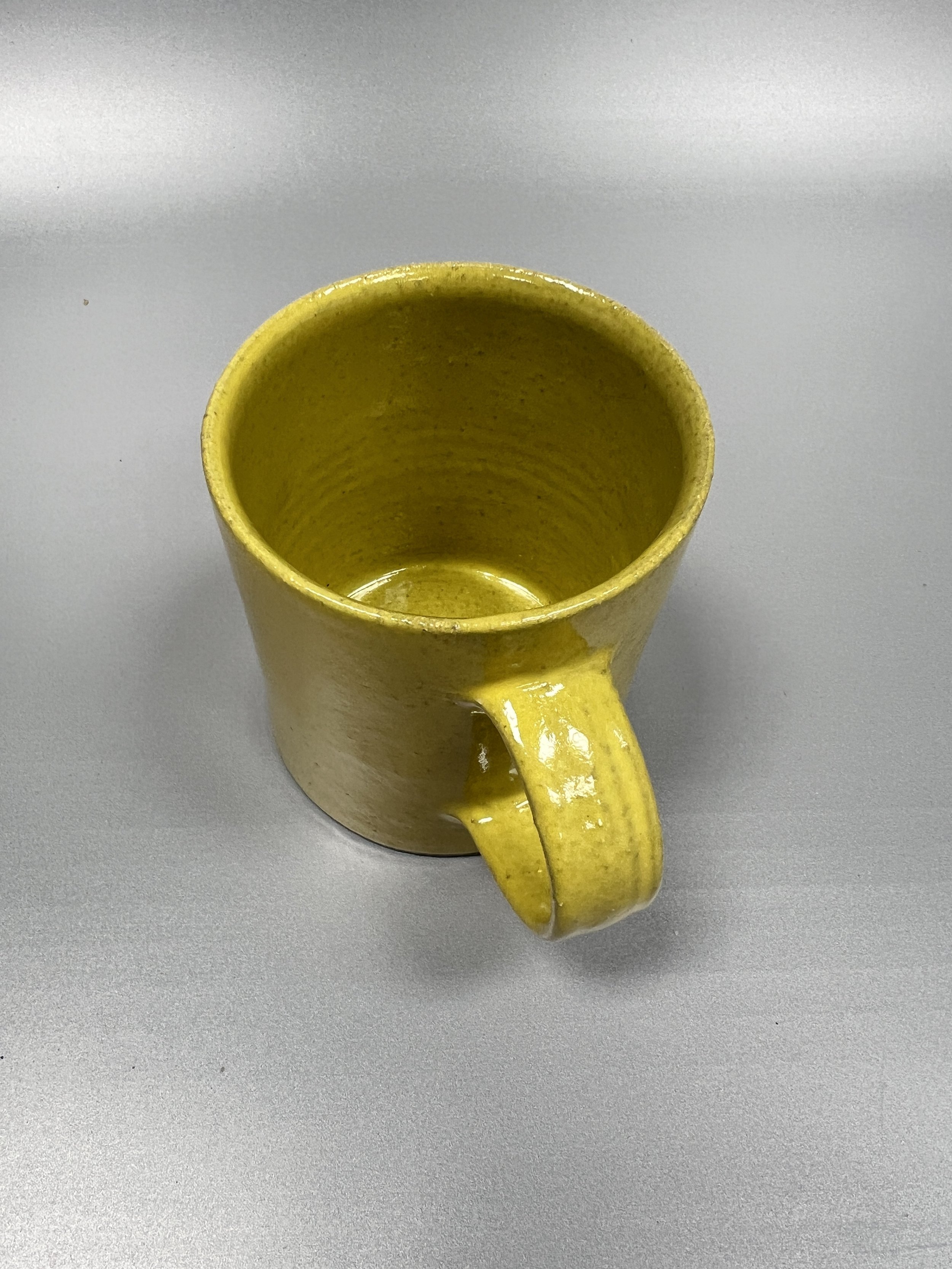 sharon-alpren-banana-straight-mug-1-3.JPG