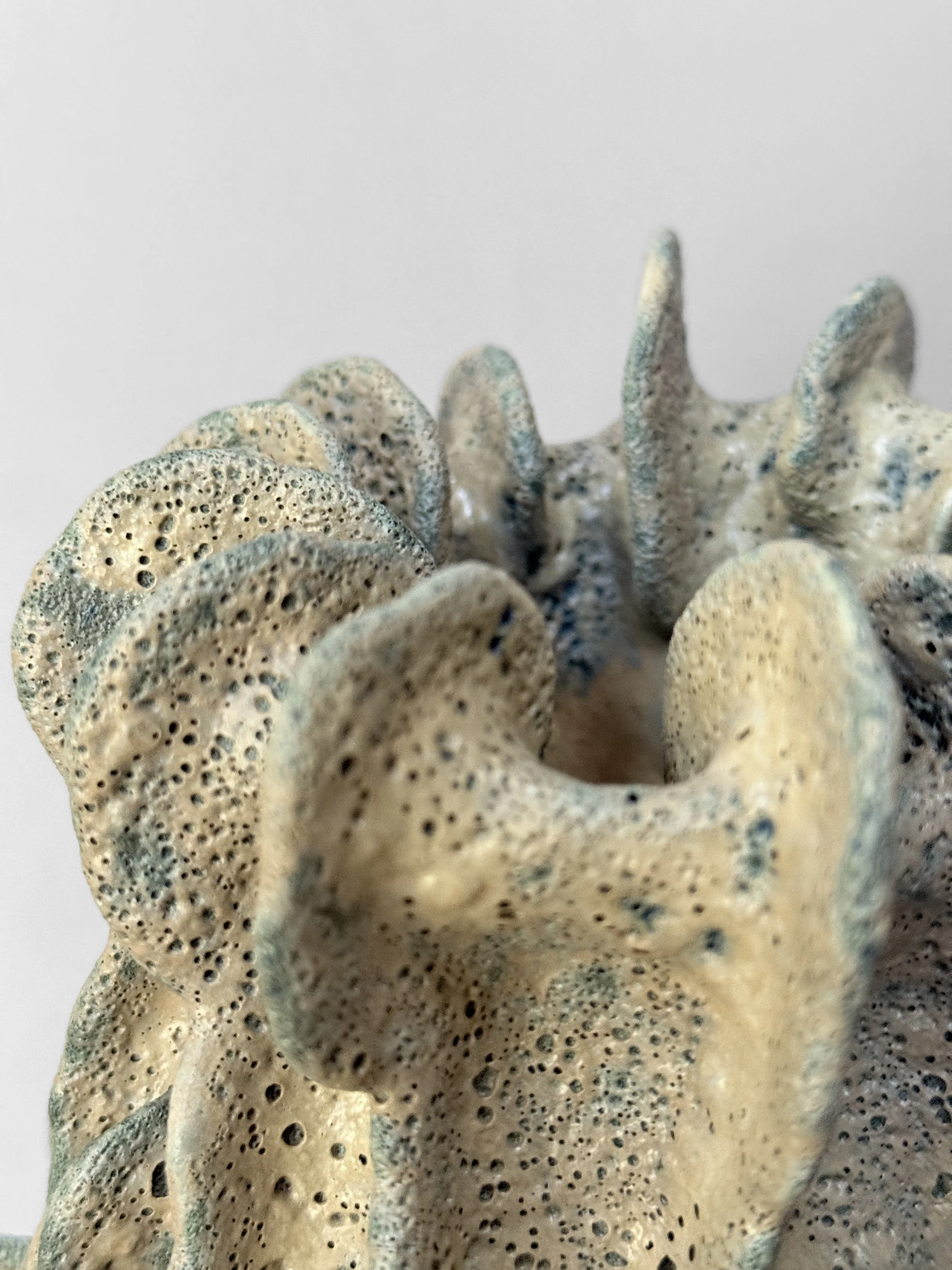 lotte-schwerdtfeger-coral-ridge-vase-vi-6.JPG
