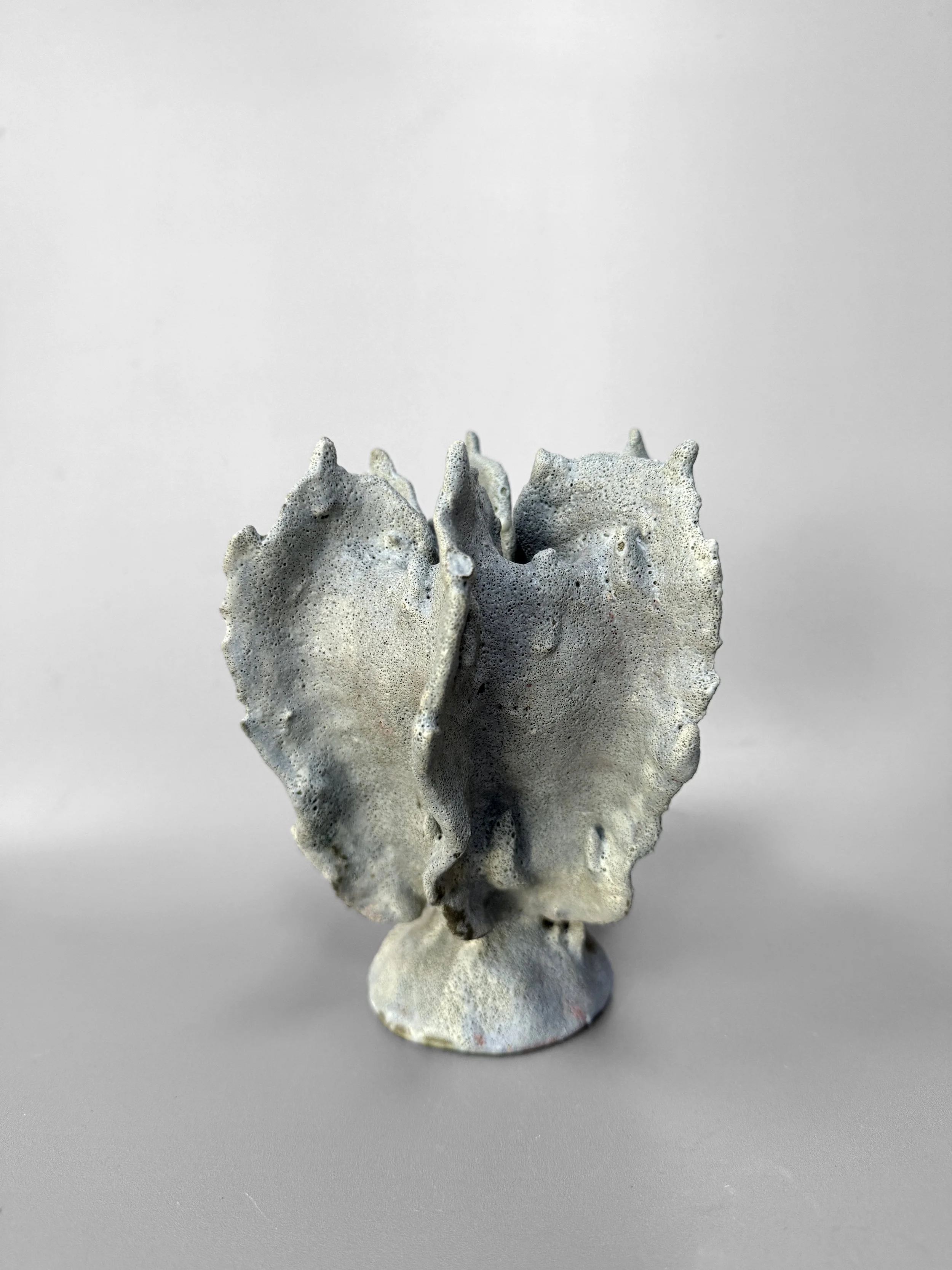 Coral Ridge Vase VIII