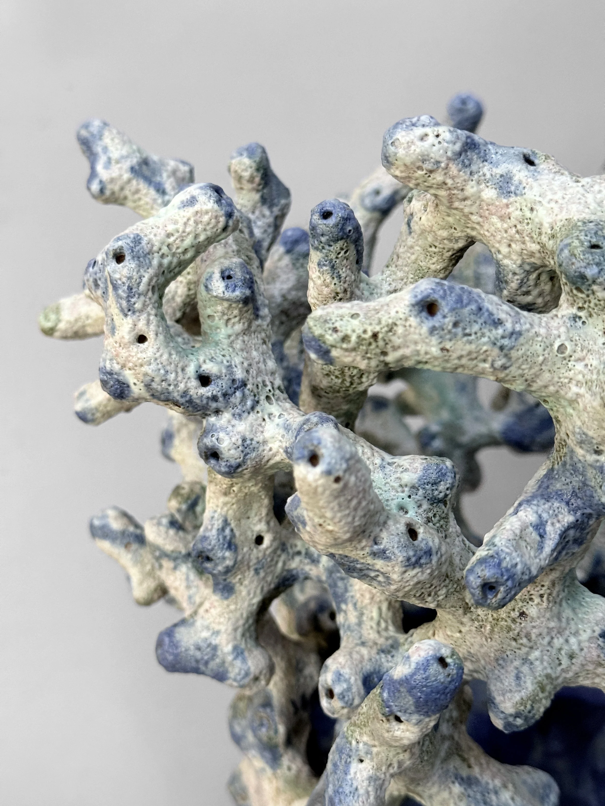 lotte-schwerdtfeger-coral-vessel-3.JPG