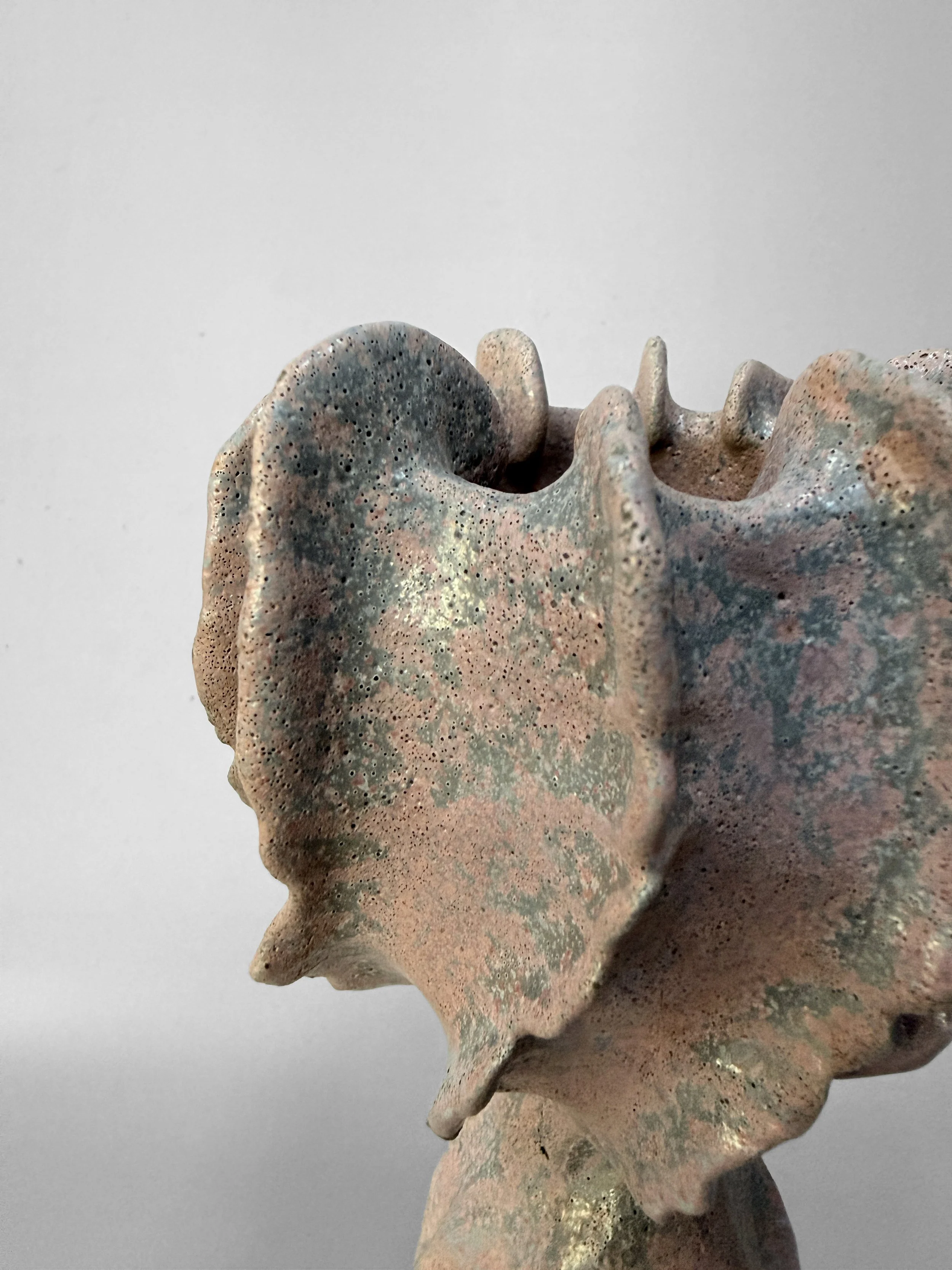 lotte-schwerdtfeger-coral-ridge-vase-iii-4.JPG
