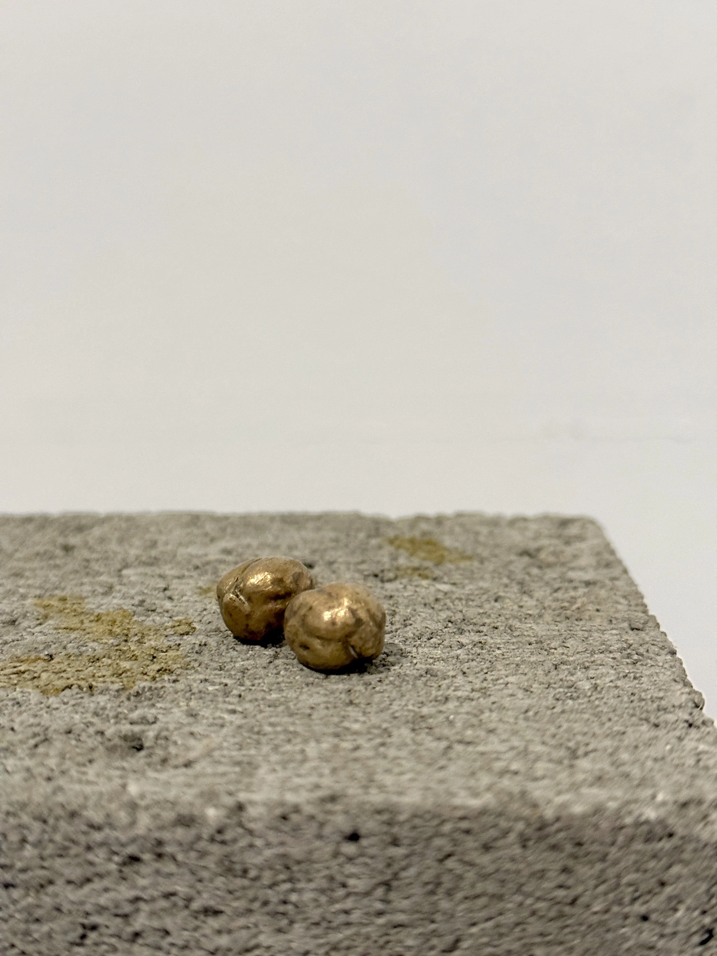 lara-chamas-hummus-1.JPG (Copy)