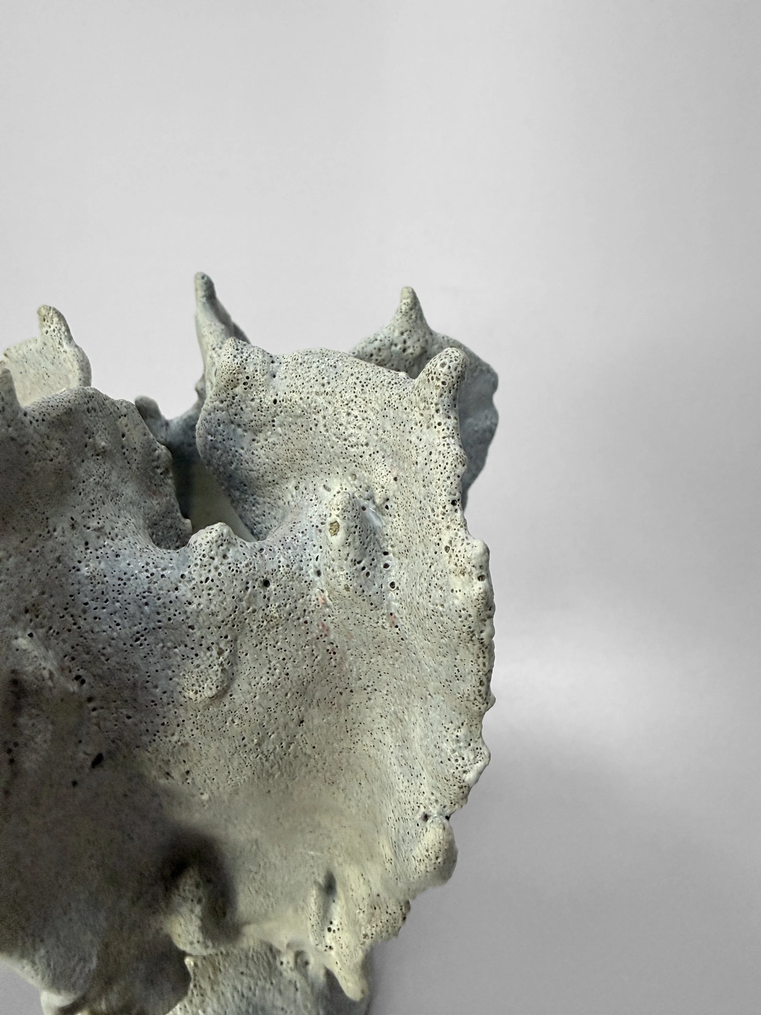 lotte-schwerdtfeger-coral-ridge-vase-viii-2.JPG