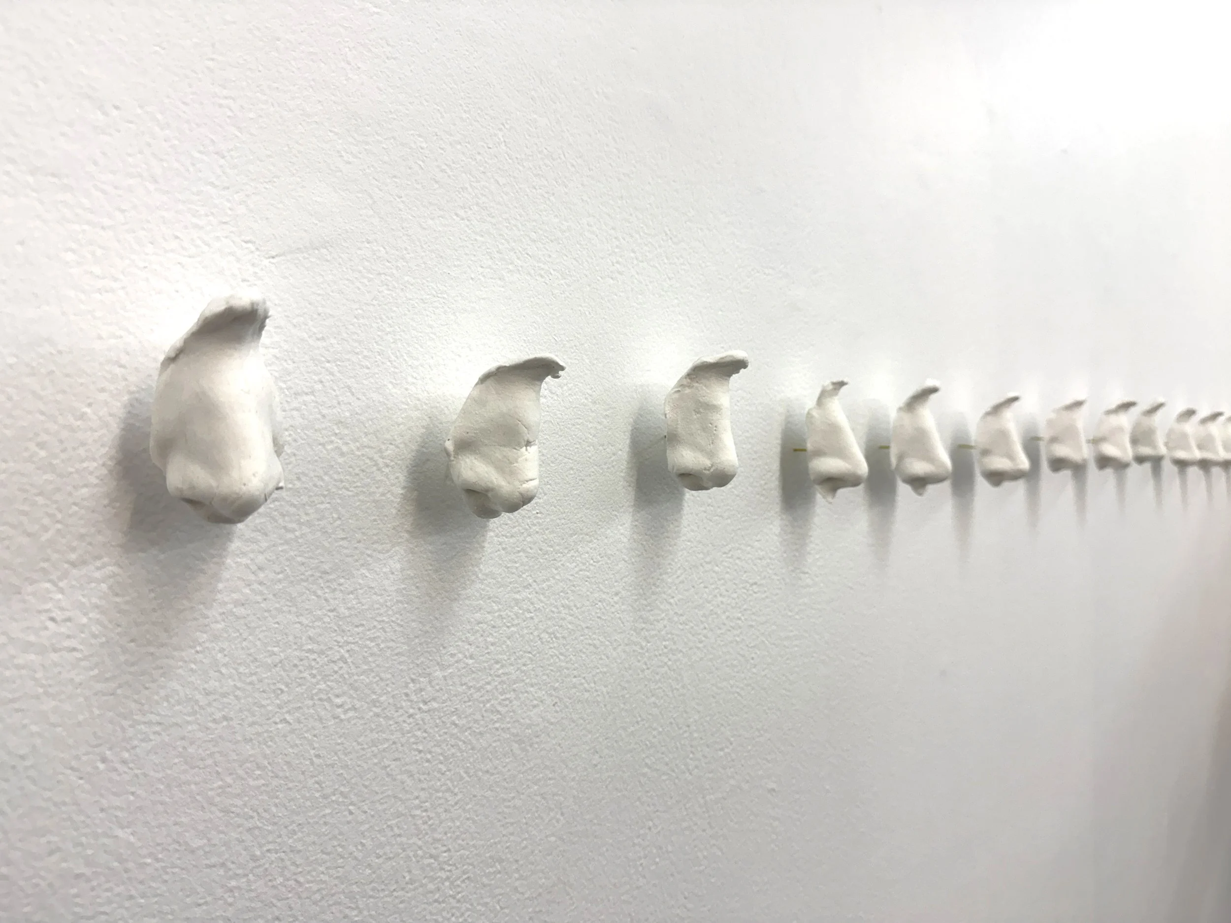 Perfectly Imperfect Nose