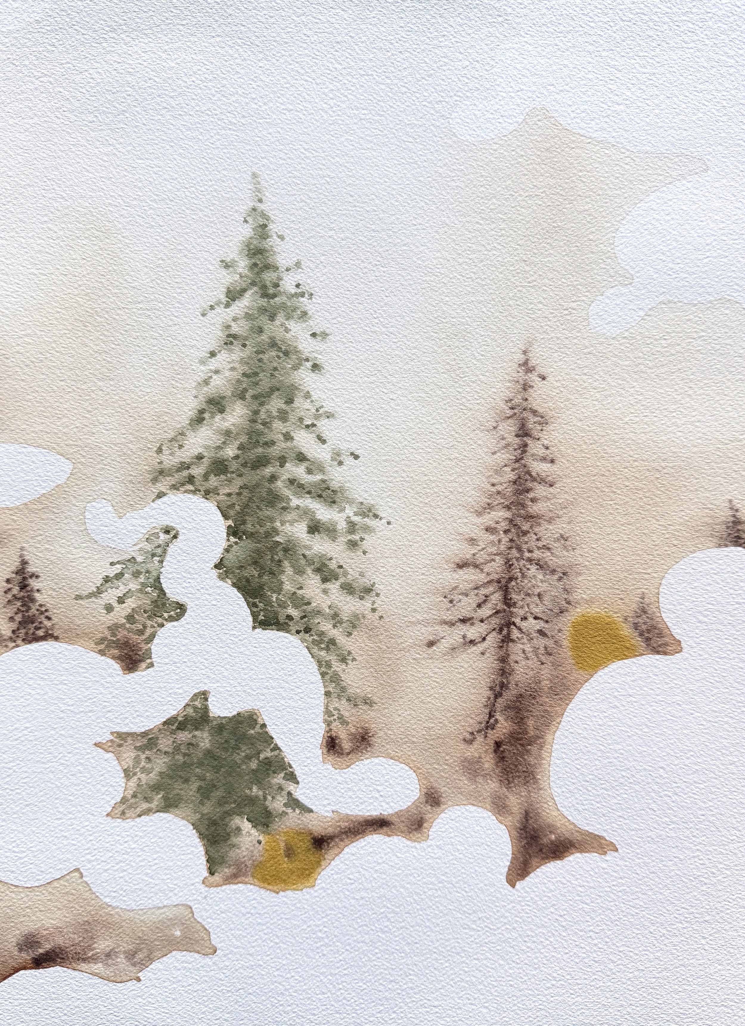 mark-rodda-pines-morning-1.jpeg
