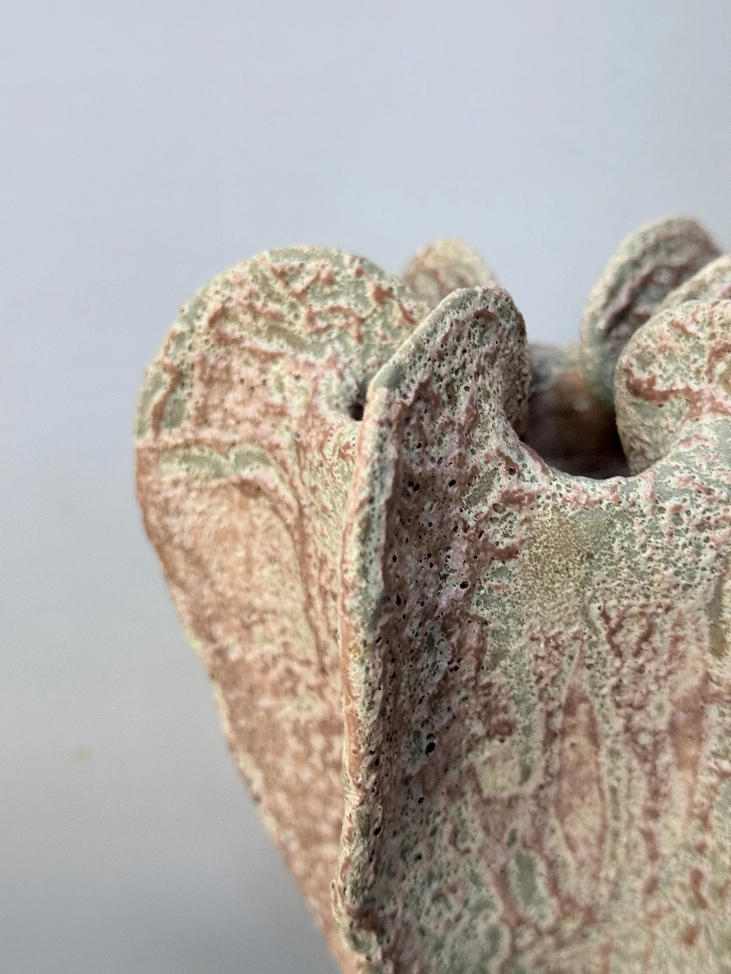 lotte-schwerdtfeger-coral-ridge-vase-ix-2.JPG