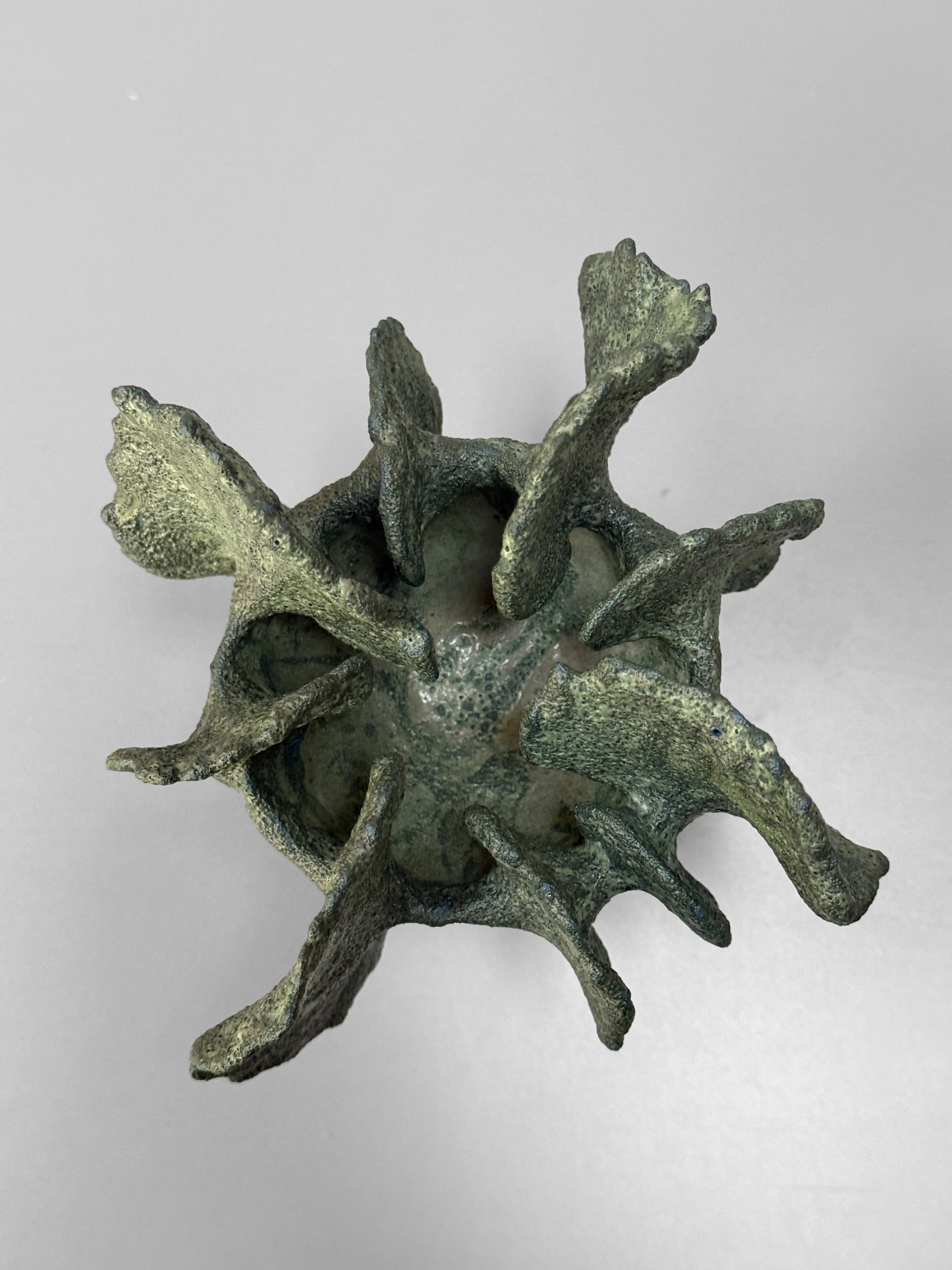 lotte-schwerdtfeger-coral-ridge-vase-ii-3.JPG