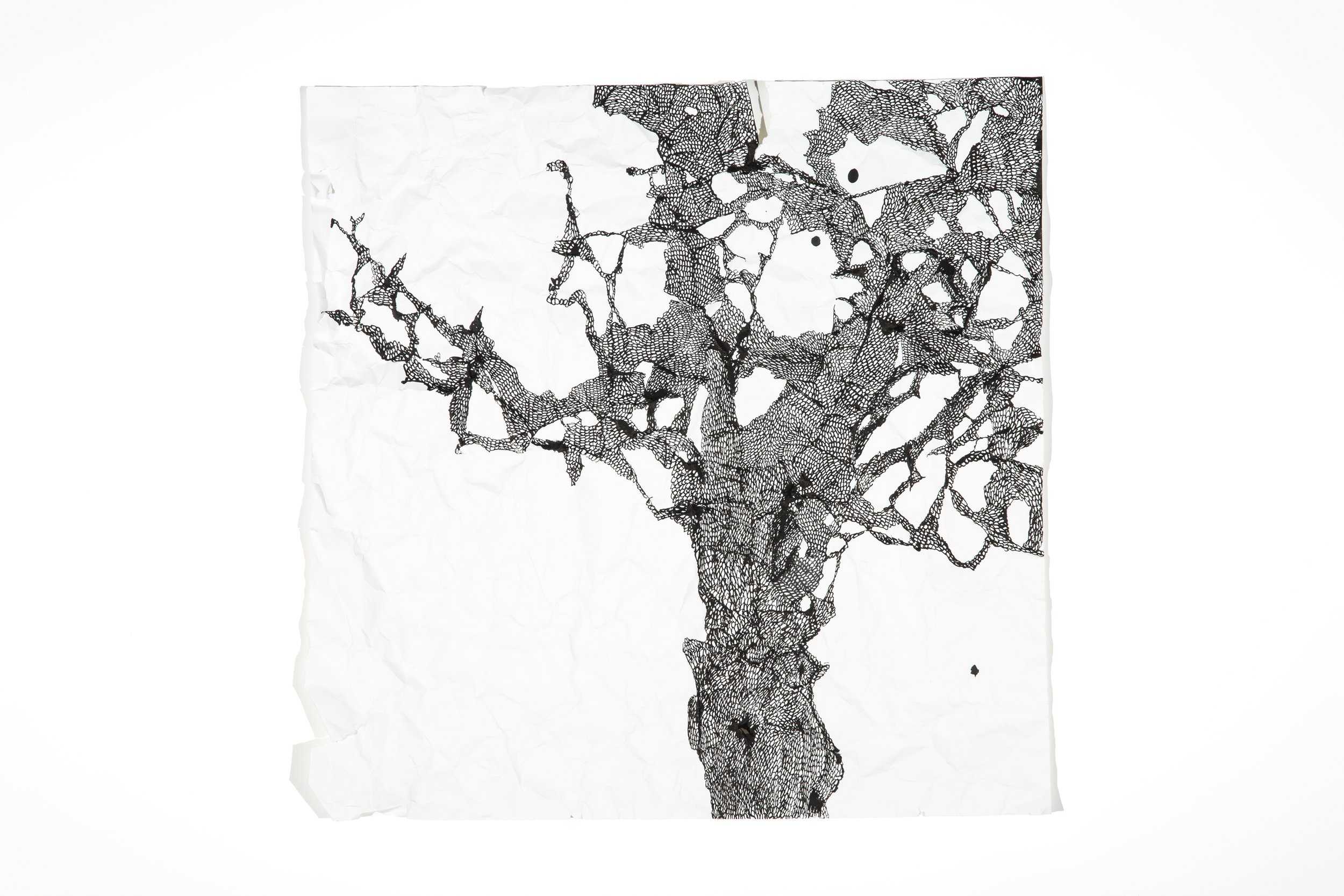 talitha-kennedy-shadows-drawn-sprung.jpg