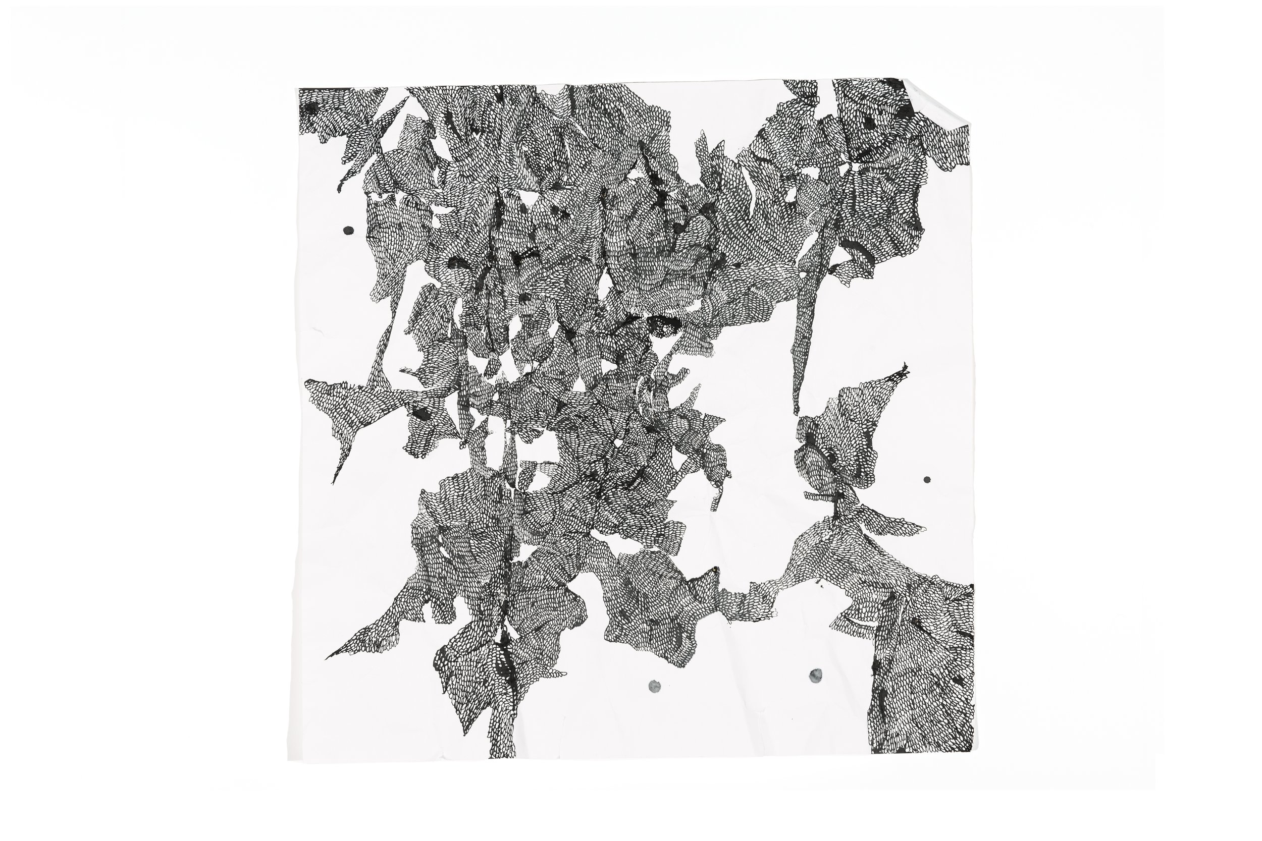 talitha-kennedy-shadows-drawn-bramble.jpg