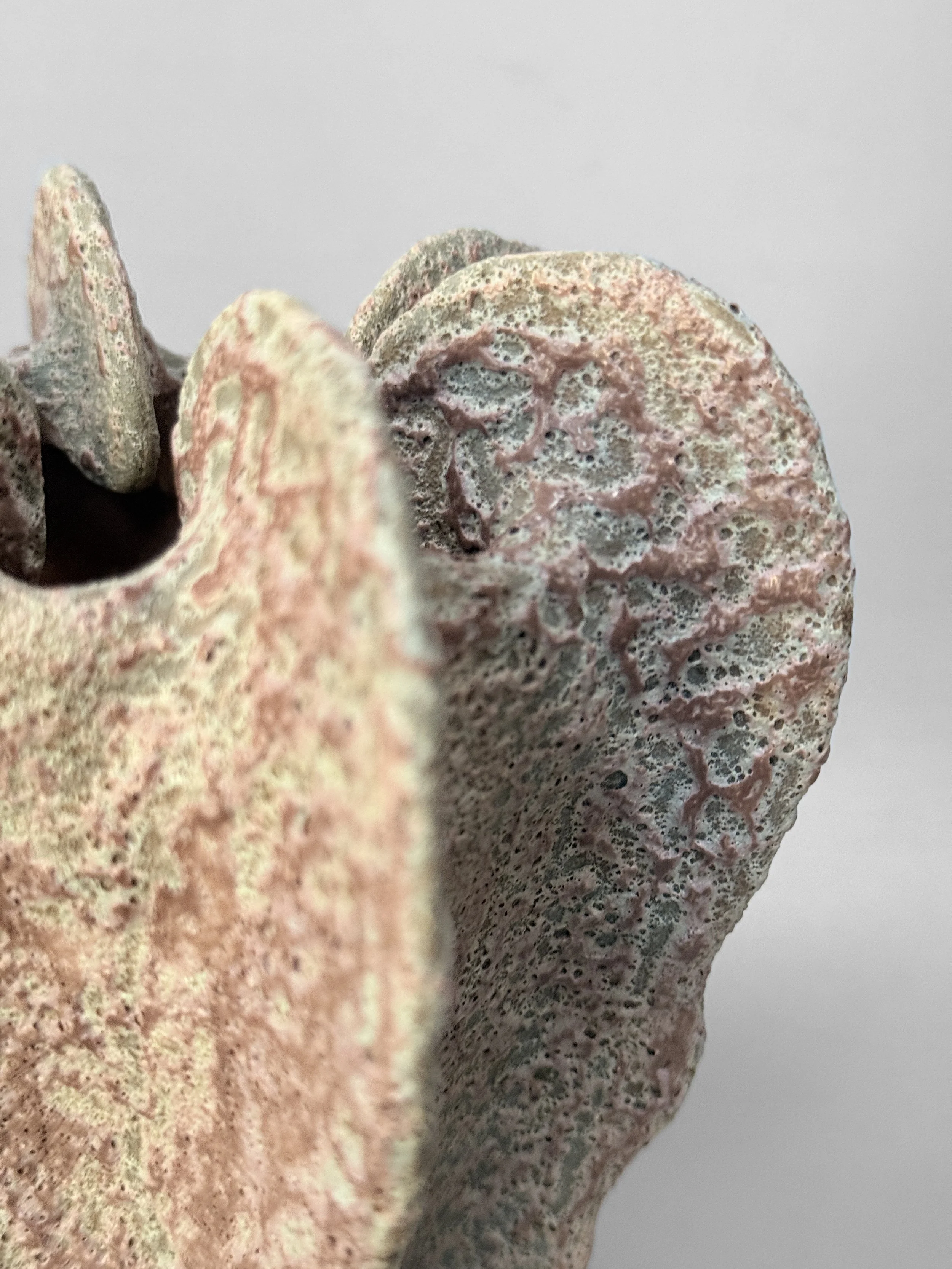 lotte-schwerdtfeger-coral-ridge-vase-ix-4.JPG