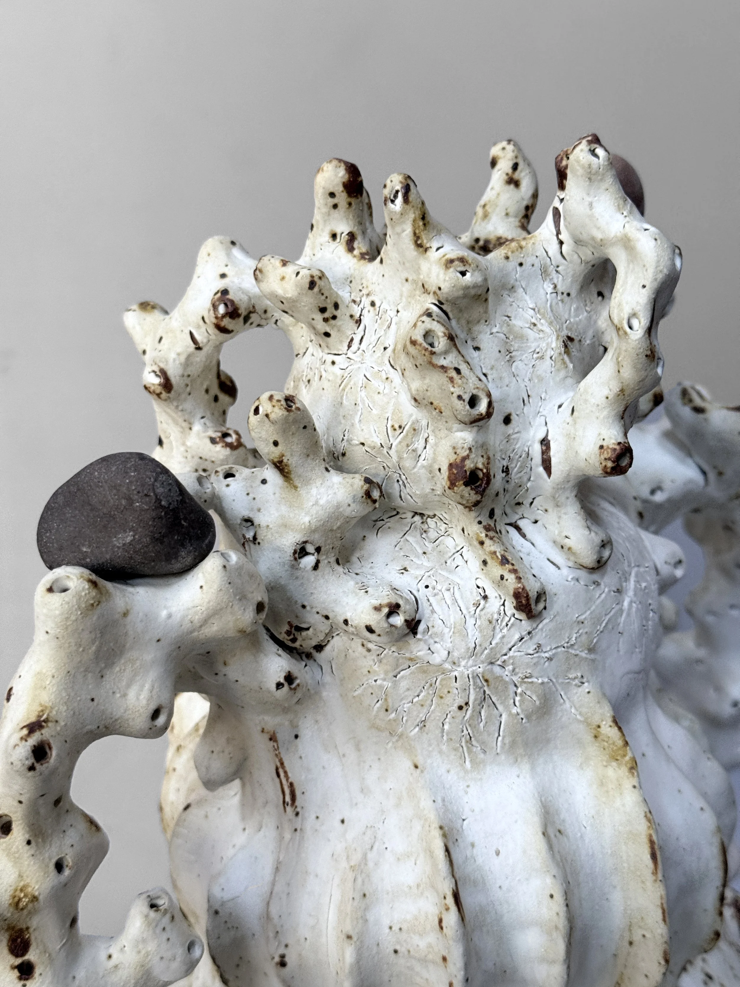 lotte-schwerdtfeger-bleached-vase-5.JPG