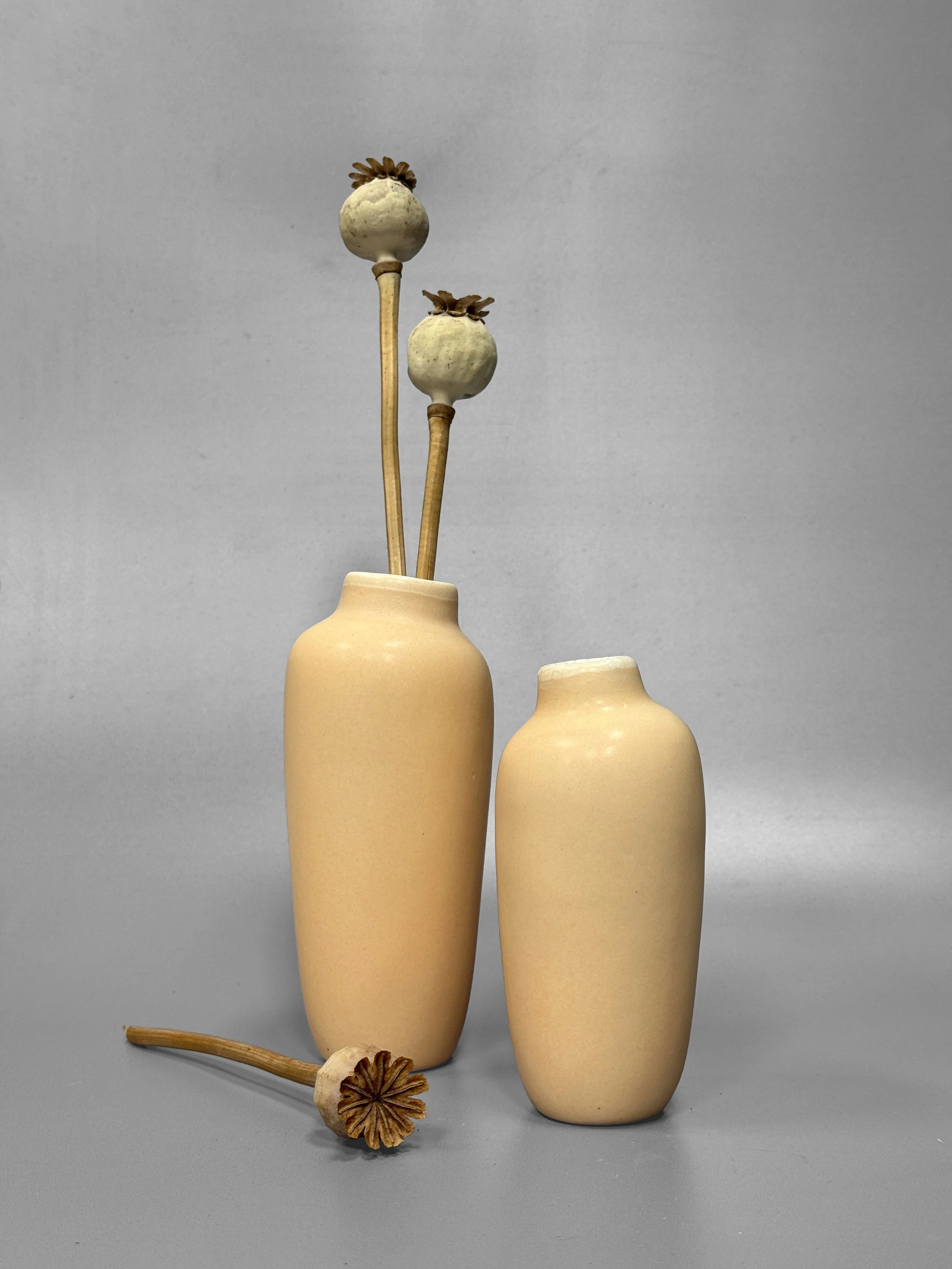 vanessa-lucas-vases-cool-orange-2.JPG