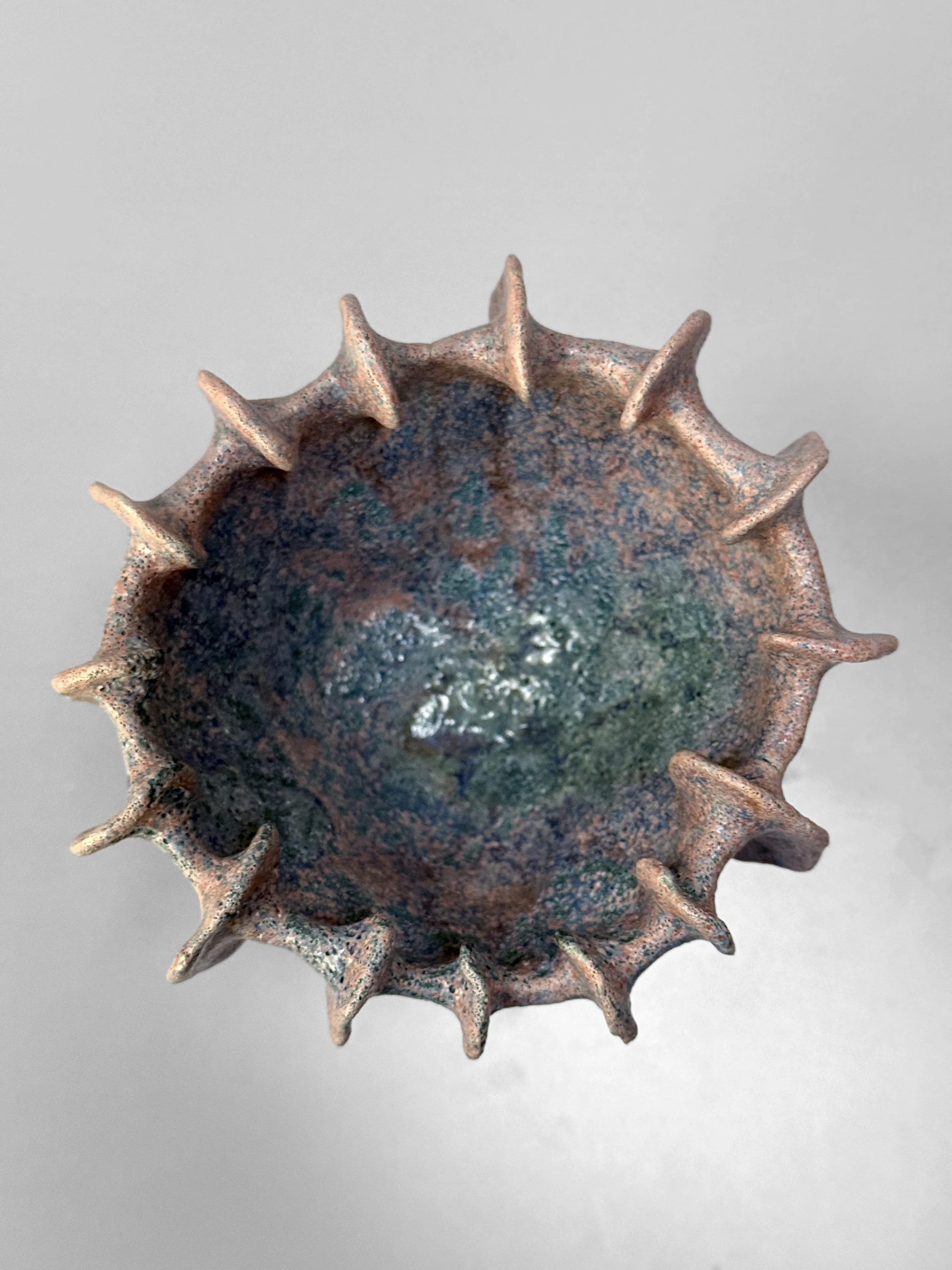 lotte-schwerdtfeger-coral-ridge-vase-iv-3.JPG