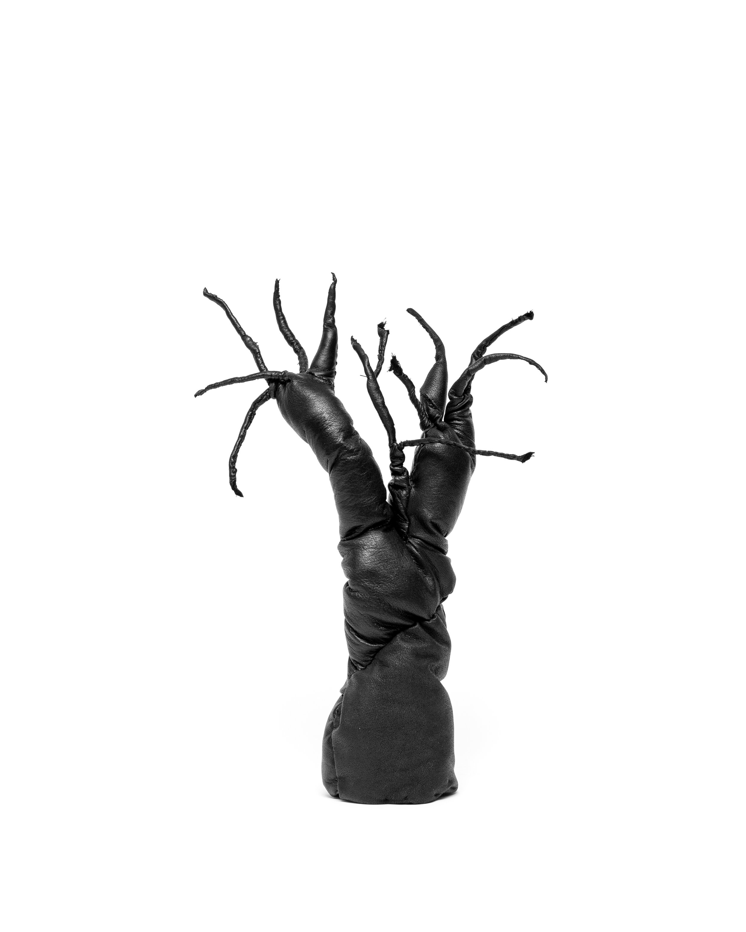 talitha-kennedy-shadows-grown-brush-1.jpg
