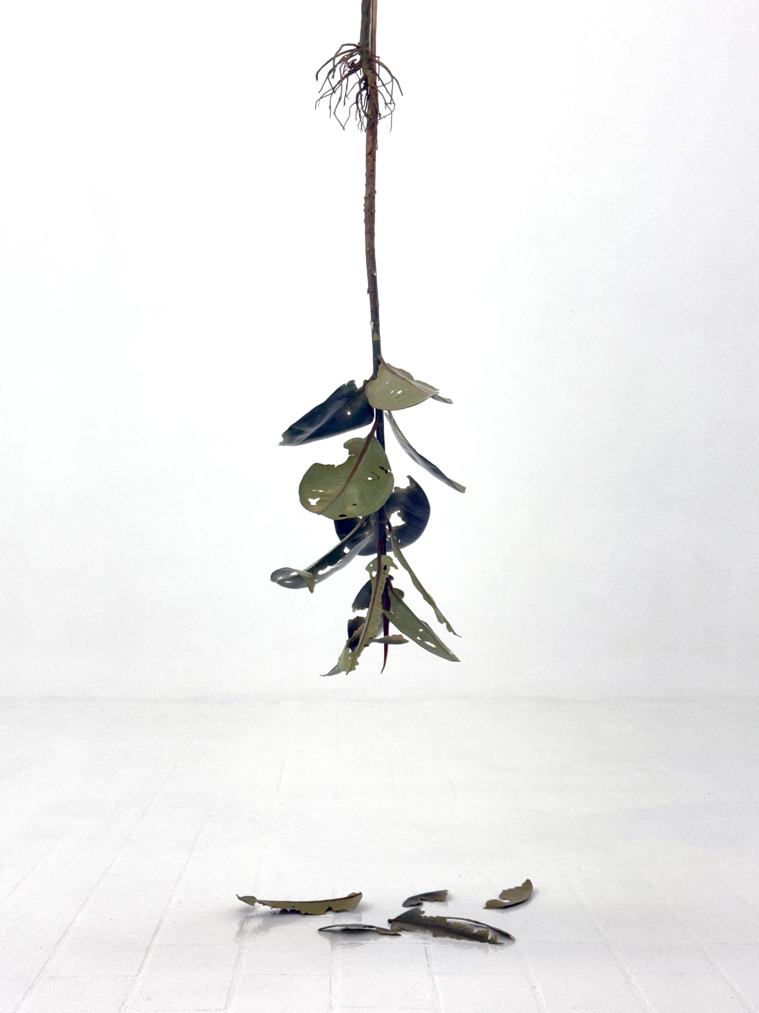 Strung out / Hung out