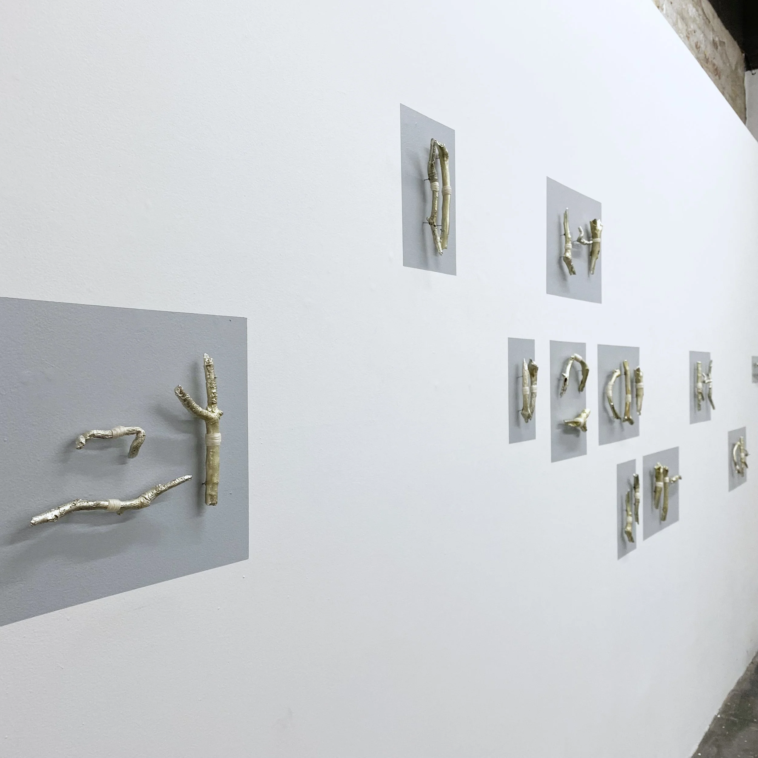amber-cronin-animism-instal-1.jpg