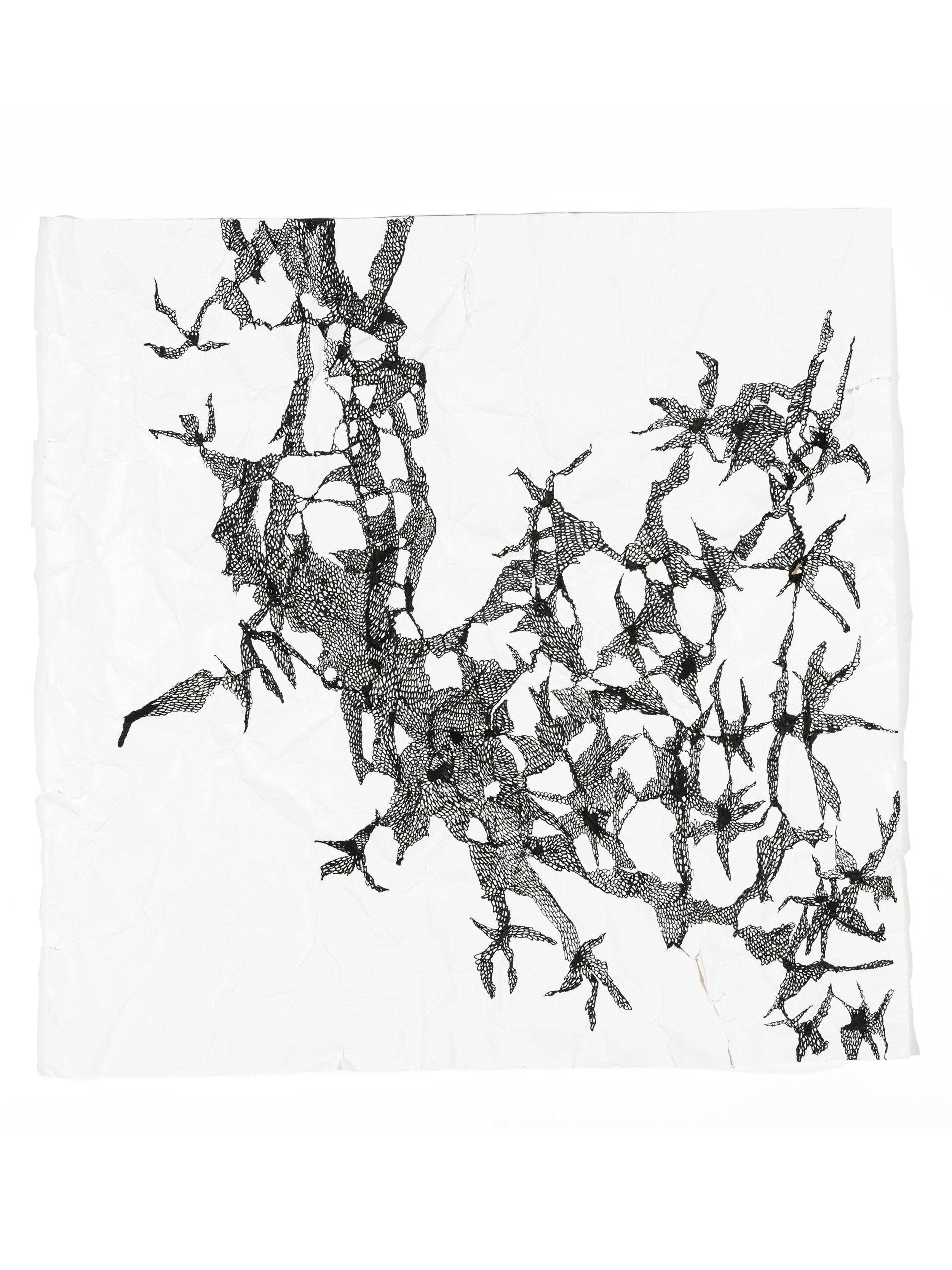 talitha-kennedy-shadows-drawn-rock-orchid-2.jpg