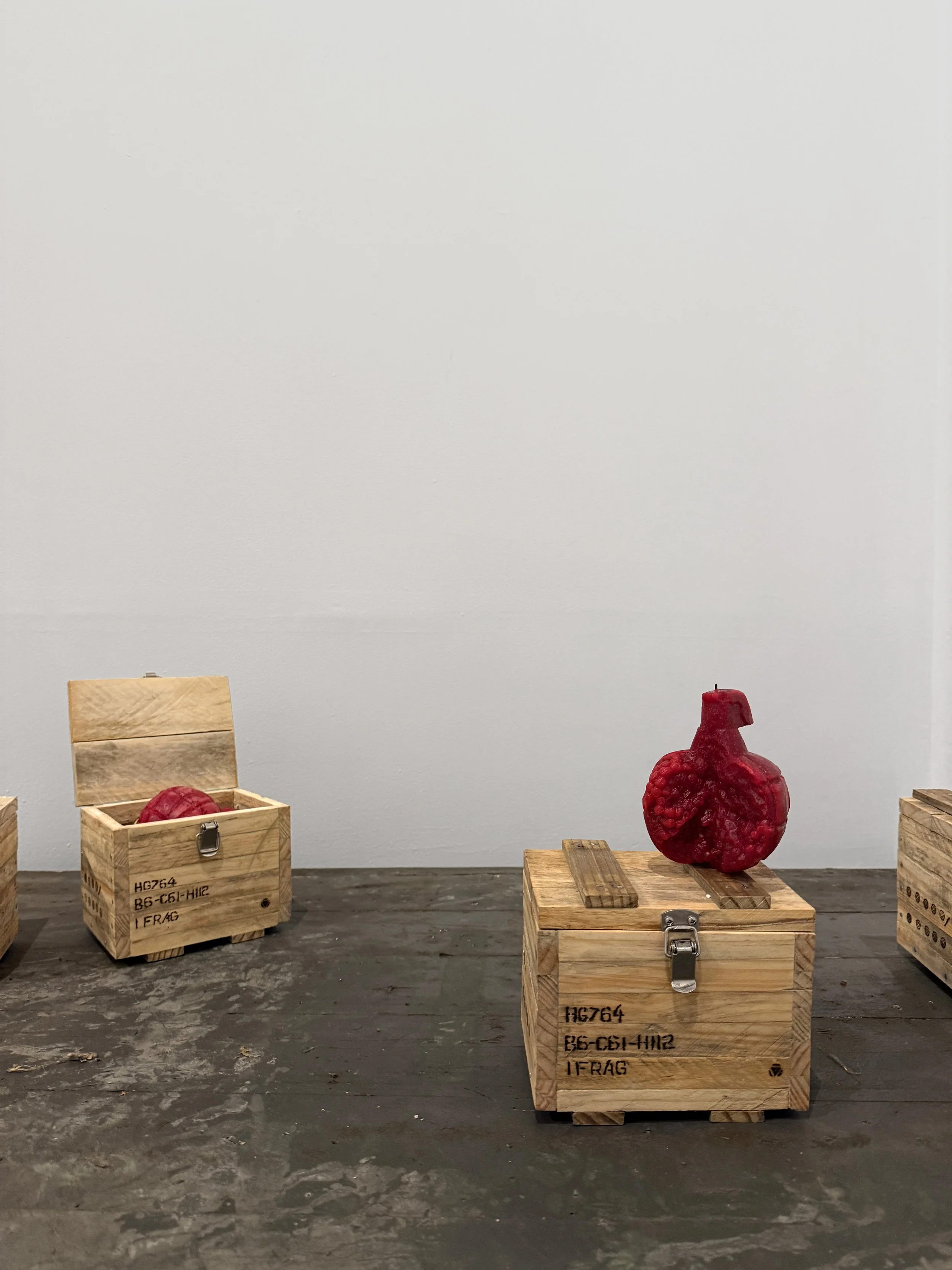 lara-chamas-pomegrenade-light-me-up-3.JPG (Copy)