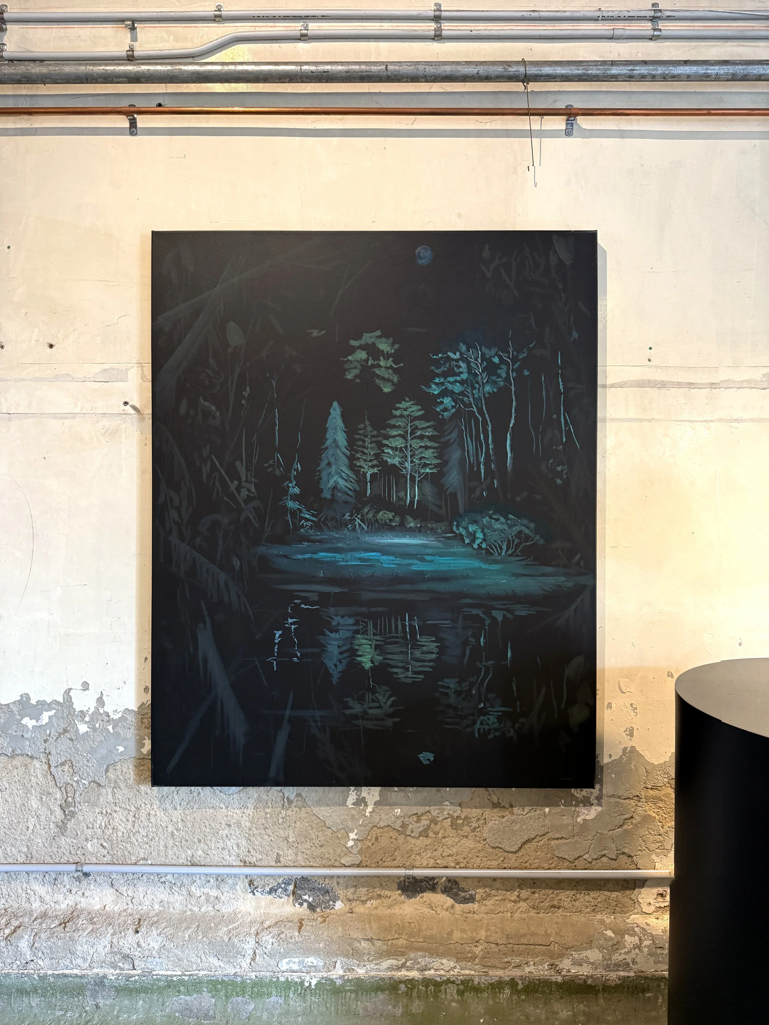 michael-carney-the dark-mirror-1.JPG